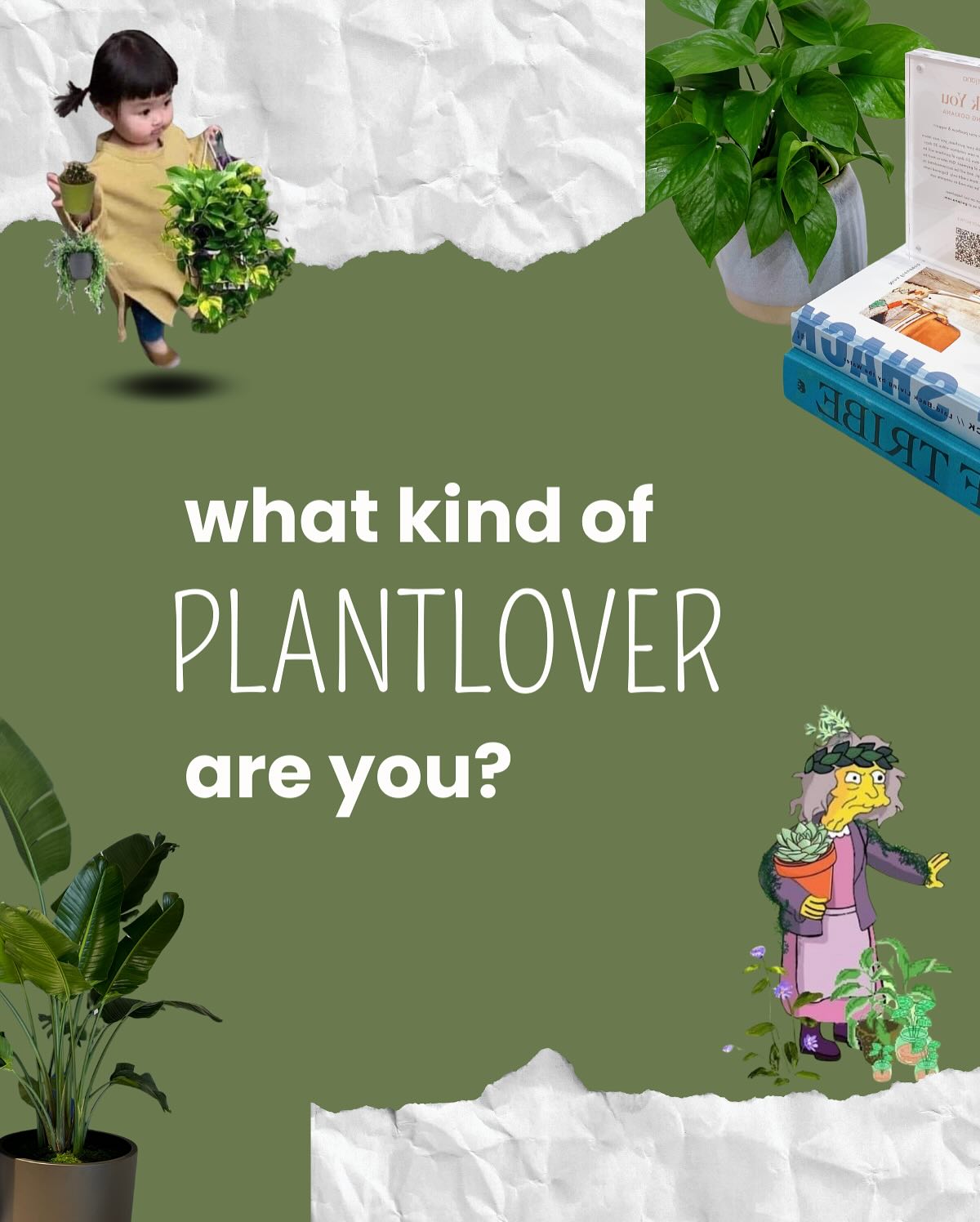 what kind of plant lover are you? šŖ“āØ
from the Crazy Plant Lady, Plant Collector, to the Plant Thief, weāve got our vibe.
tap through and tag yourself, your friends, or your multiple personalities šš±
collect them all⦠like rare cuttingsš