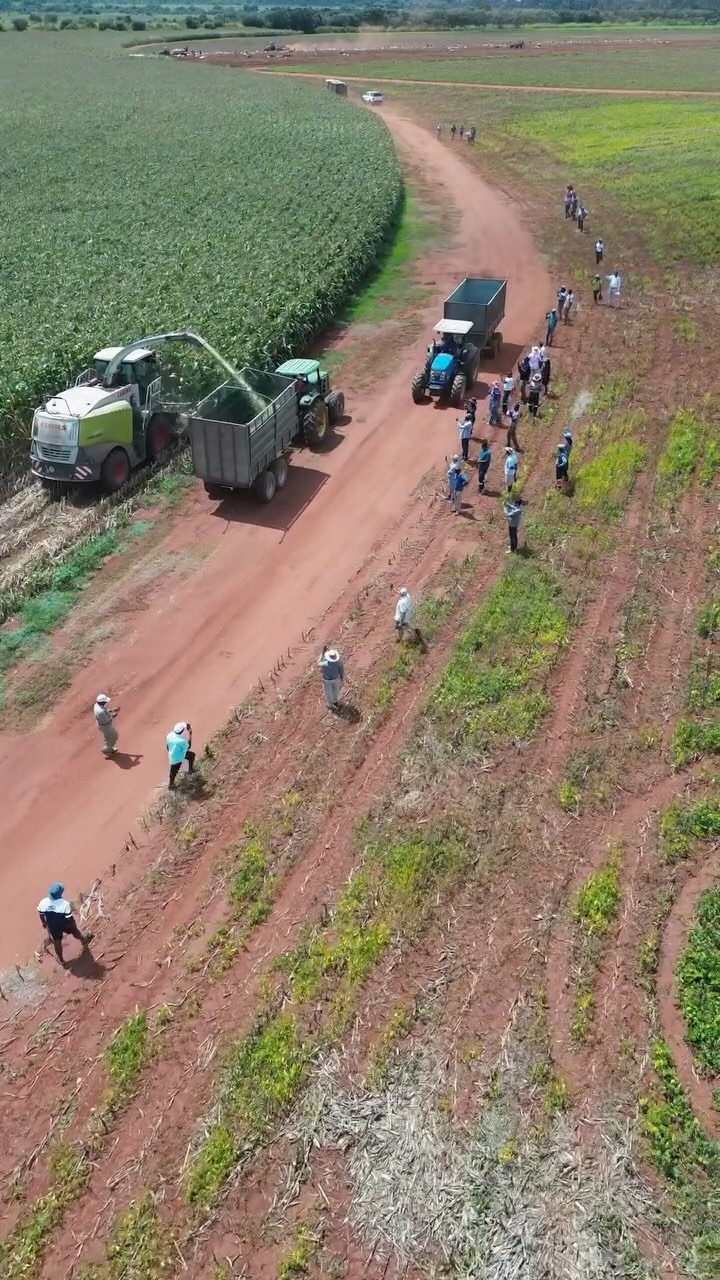 Successful Silage Demonstration Day with Red Dane Farming. It was a pleasure to share our silage making techniques with an attentive and interested crowd.
For all your silage consumables and foraging service inquiries for next year (30 Ha minimum) please visit our Agri Centres or contact us at info@reddanefarming.com.
#reddaneagrisolutions #reddanefarming #foraging #maizesilage #silage #fodderflow #farminglife #wearelivestock