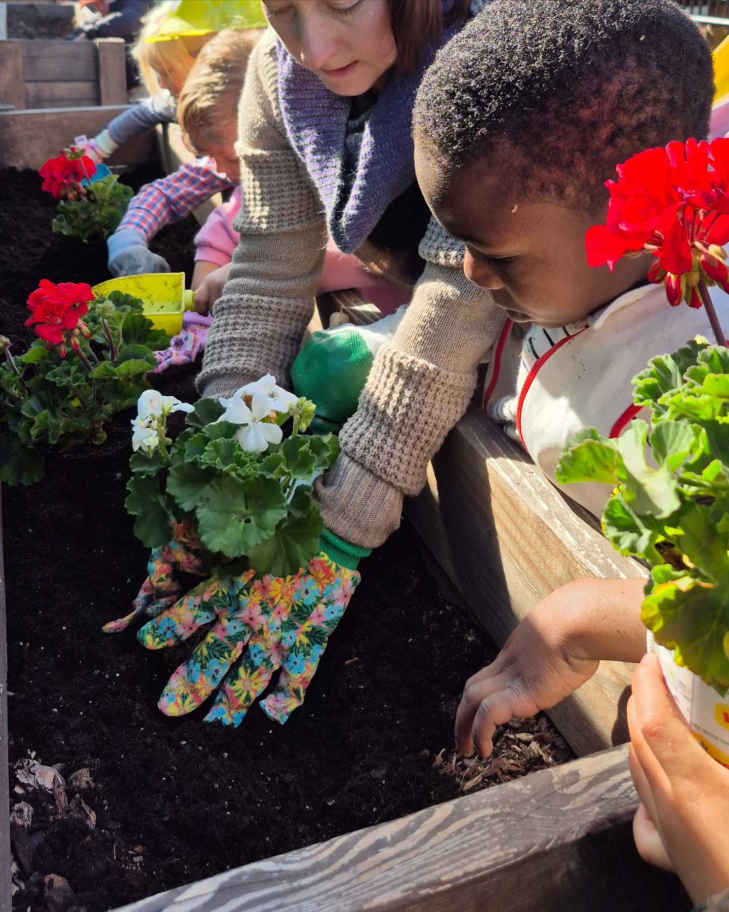 What better way to welcome spring than by planting flowers and discovering the wonderful world of plants?! 🌺🪴🧑🌾
“For as the soil makes the sprout come up and a garden causes seeds to grow, so the Sovereign Lord will make righteousness and praise spring up before all nations.”
Isaiah 61:11
#springishere
#preschoolscience
#imaginechristianpreschool