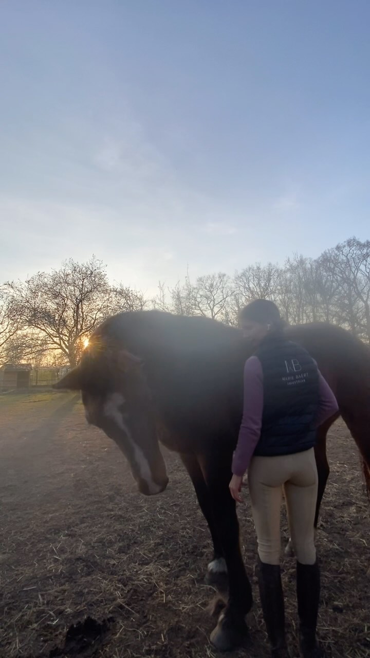 My best friend - Andante 🩷
#oldbutgold #horses #paarden #paardencoaching #nature #mindful #horsereflectedcoaching #kindercoaching #mindset #blessed #equitalents