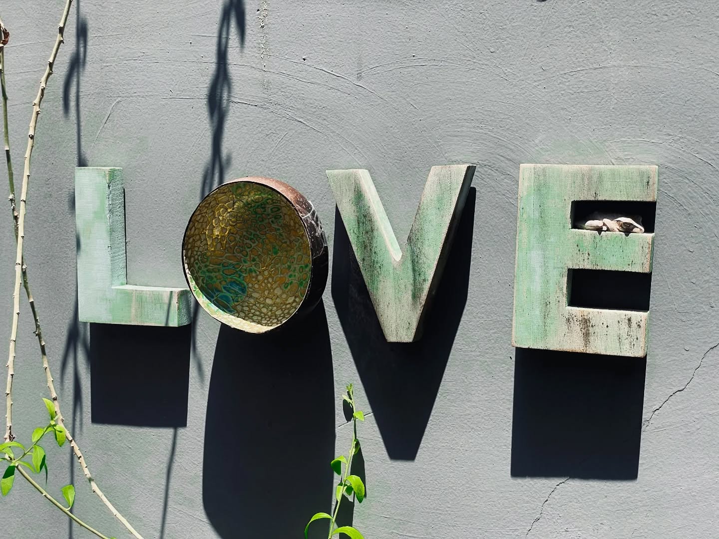 All you need is Love & a Frog🐸
#lionsrestlife #weligama #midigama #ahangama #srilankatravel