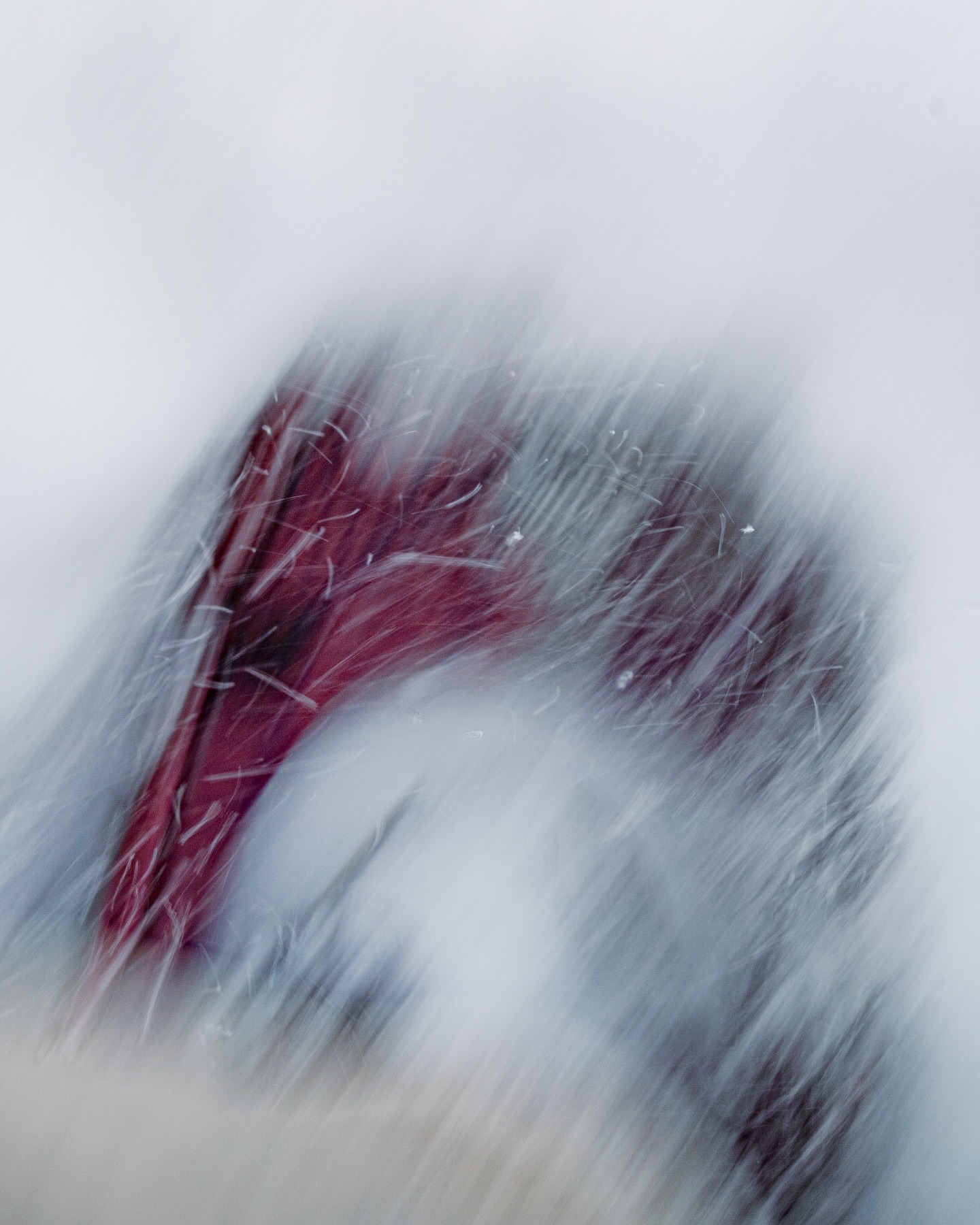 Any More Winter Left?