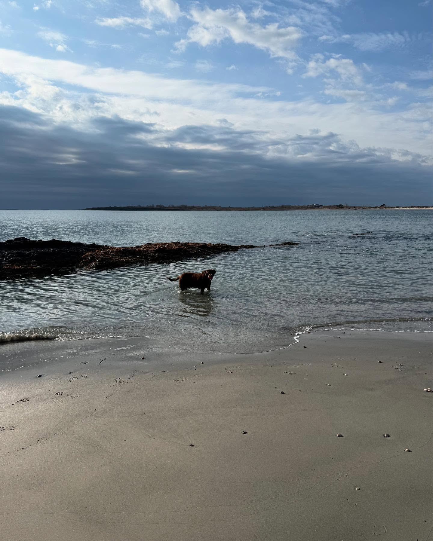 Daily walks with my favorite boy and my spiritual team. God was shining bright today!