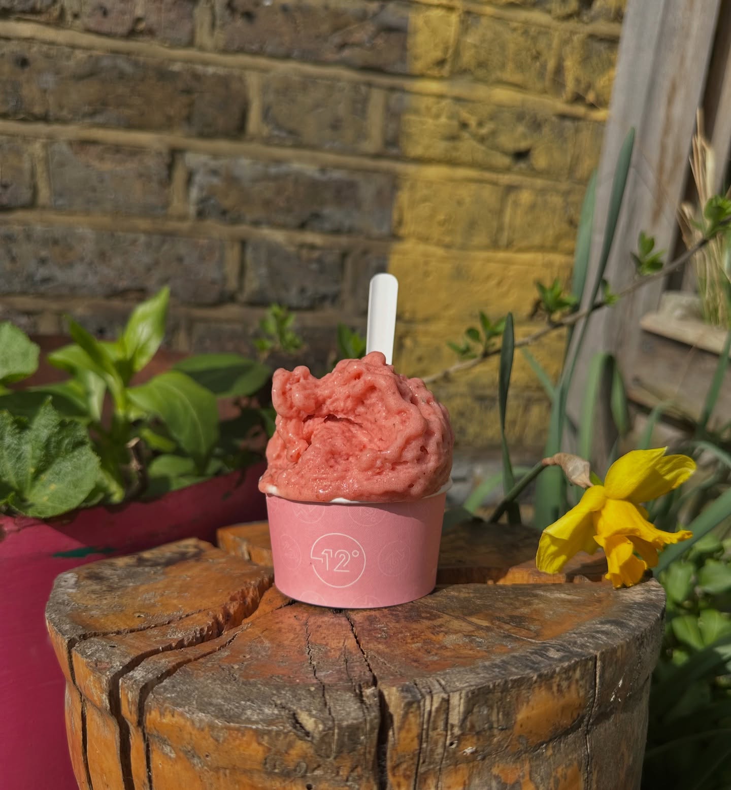 Double scoop of strawberry & basil