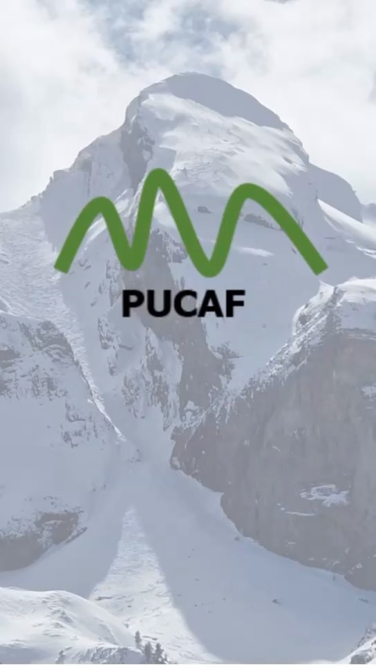 Pues va a resultar que el esquí sigue siendo el principal motor de la economía de la Jacetania y el Valle de Tena. Y va a resultar que aunque no haya sido la más abundante en nieve, esta temporada va a ser larga y con una buena afluencia. Apostemos por las estaciones de esquí e invirtamos en su mejora para lograr un destino turístico más completo que genere más riqueza y futuro para los valles.
unión de estaciones YA!!
#uniondeestacionessi #formigal #astún #candanchú