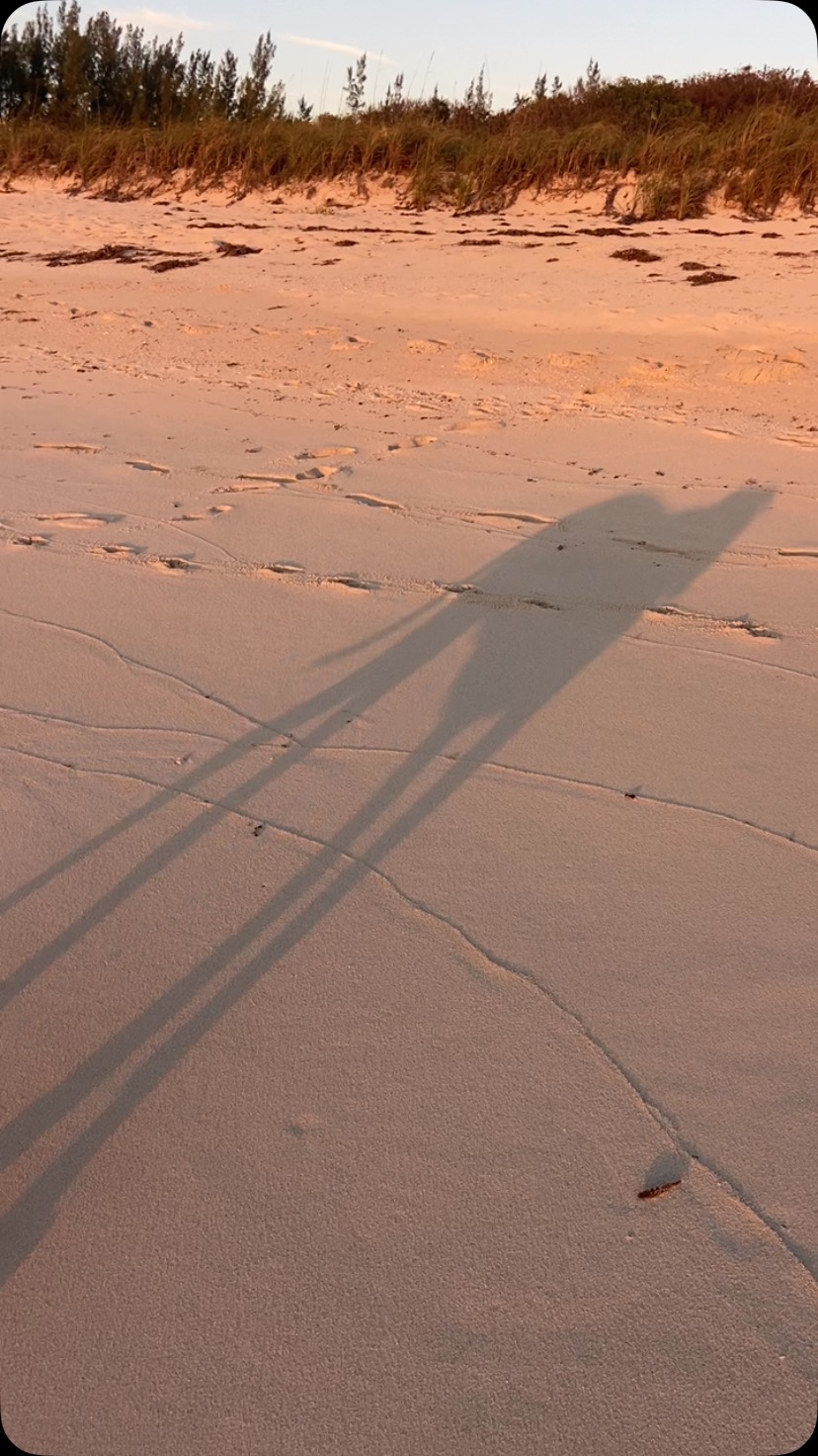 Sunset walks on the beach with our fur baby Pitcake Lusca will never get old ! @luv_a_bull_lusca @biminisharkgirl #travel #bimini #pitcake #pitbull #rednose #furbaby #sunset #beach #beachlife #beachplease #dog #bahamas