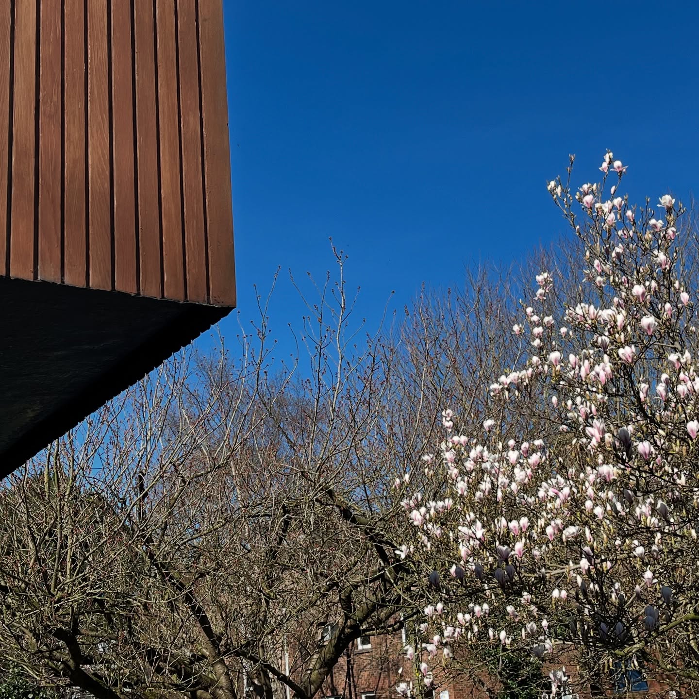 Spring skies at La Roche 🐝