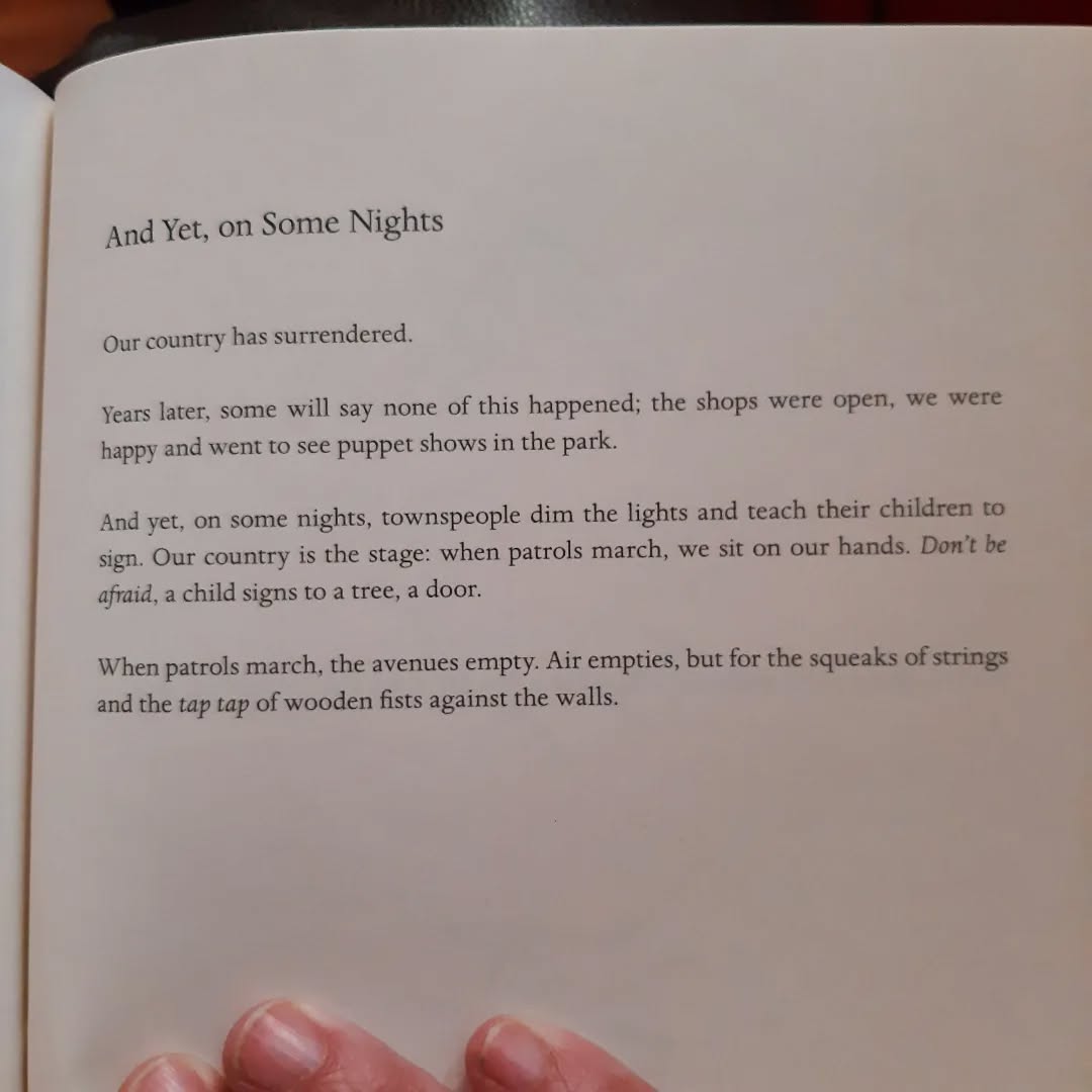 From Deaf Republic - Ilya Kaminsky