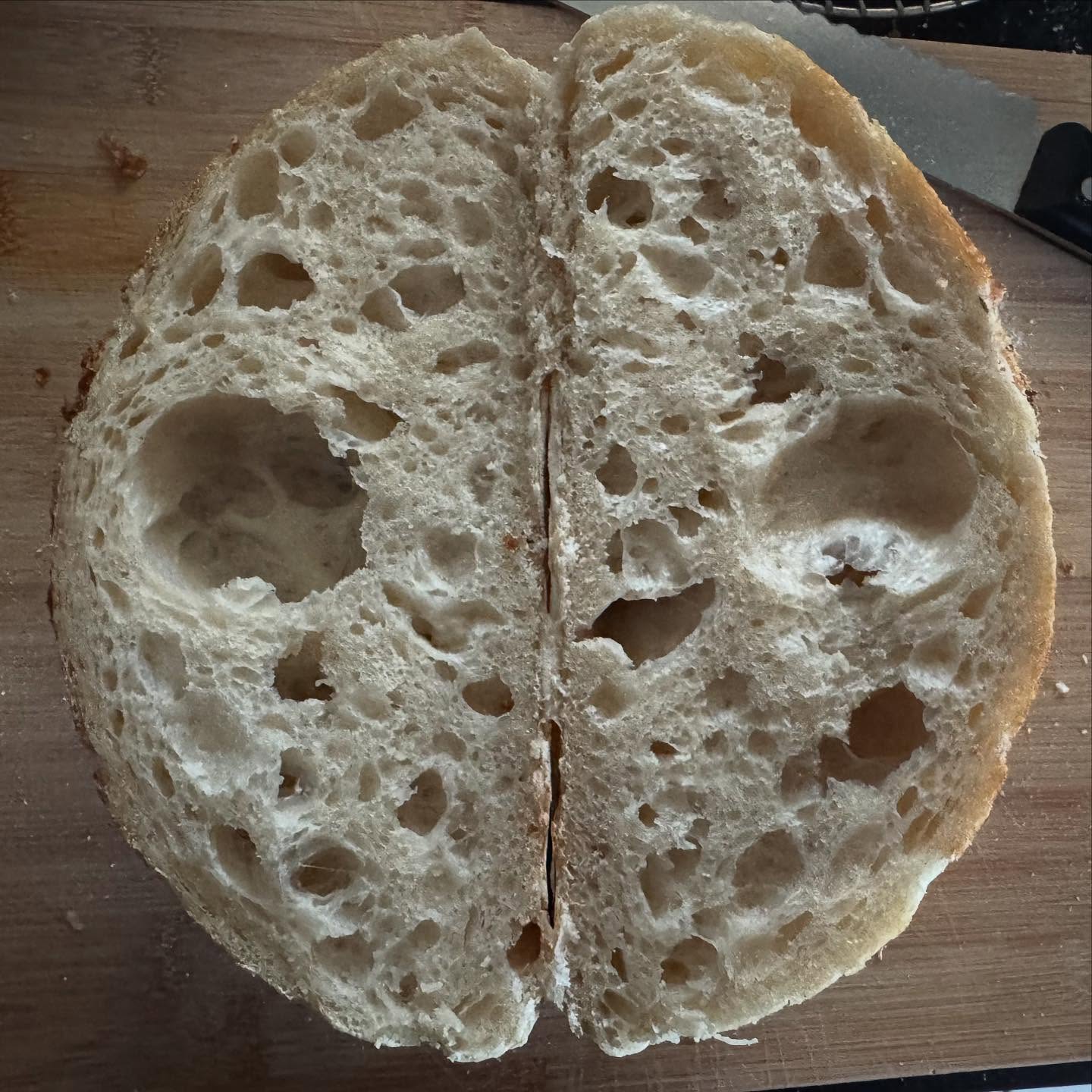 Finally cut into it this morning: gummy irregular crumb with large holes and a dense gummy layer on the bottom 🥺 It also looked so pale this morning. Stuck it back in the oven, which fixed the colour of the crust but not the crumb. Way to go! 🤪 #sourdough #sourdoughbread #wheatsourdough #sourdoughstarter #mysourdoughjourney