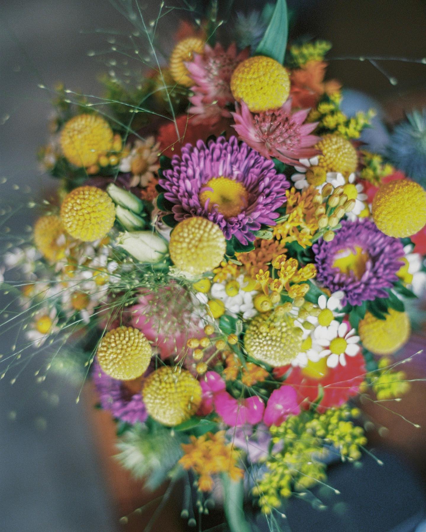 Manon + Anthony
.
Venue: @chateaudematel
Catering: Demont traiteur
Flowers: Ikebana
Bride’s dress: @eglantine_mariages_ceremonies
Bride’s shooes: @tommyhilfiger
Bride’s hair: @lyly_julia_
Bride’s MUA: @chlouiiiiii
Groom’s suit/shoes: @histoiredhommeroanne
Rings: Créations Eric Laurent
Rental car: @bargeautomobiles
.
#photographemariageroanne
#photographemariagelyon
#photographerhonealpes
#photographebeaujolais
#mariagelyon
#mariageroanne
#lyon
#roanne
#futuremariee
#mariee
#mariee2023
#photographeargentique
#filmphotography
#mariage2023
#mariageprovence
#weddingplanner
#weddingplannerlyon
#weddinginspiration
#weddingphotographer
#wedding
#lyonwedding
#bridetobe
#madewithkodak #ektar100