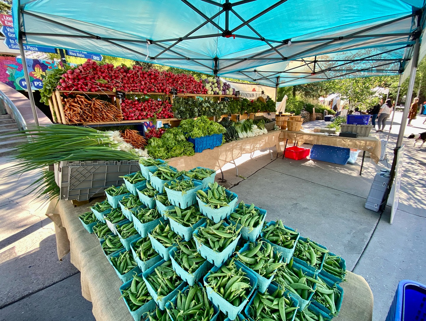Big News! We’re excited to say we’ll be bringing our organically grown veggies to the @dillonfarmersmarket every Friday this summer!
🥕🥦🥬🍅
We’re stoked to be spreading our veggies even further out into the world. Help us spread the word to your Summit County friends and we hope to see you there, or at @steamboatfarmersmarket and @vailfarmersmarket all summer long! Time to get to work 💪🏻