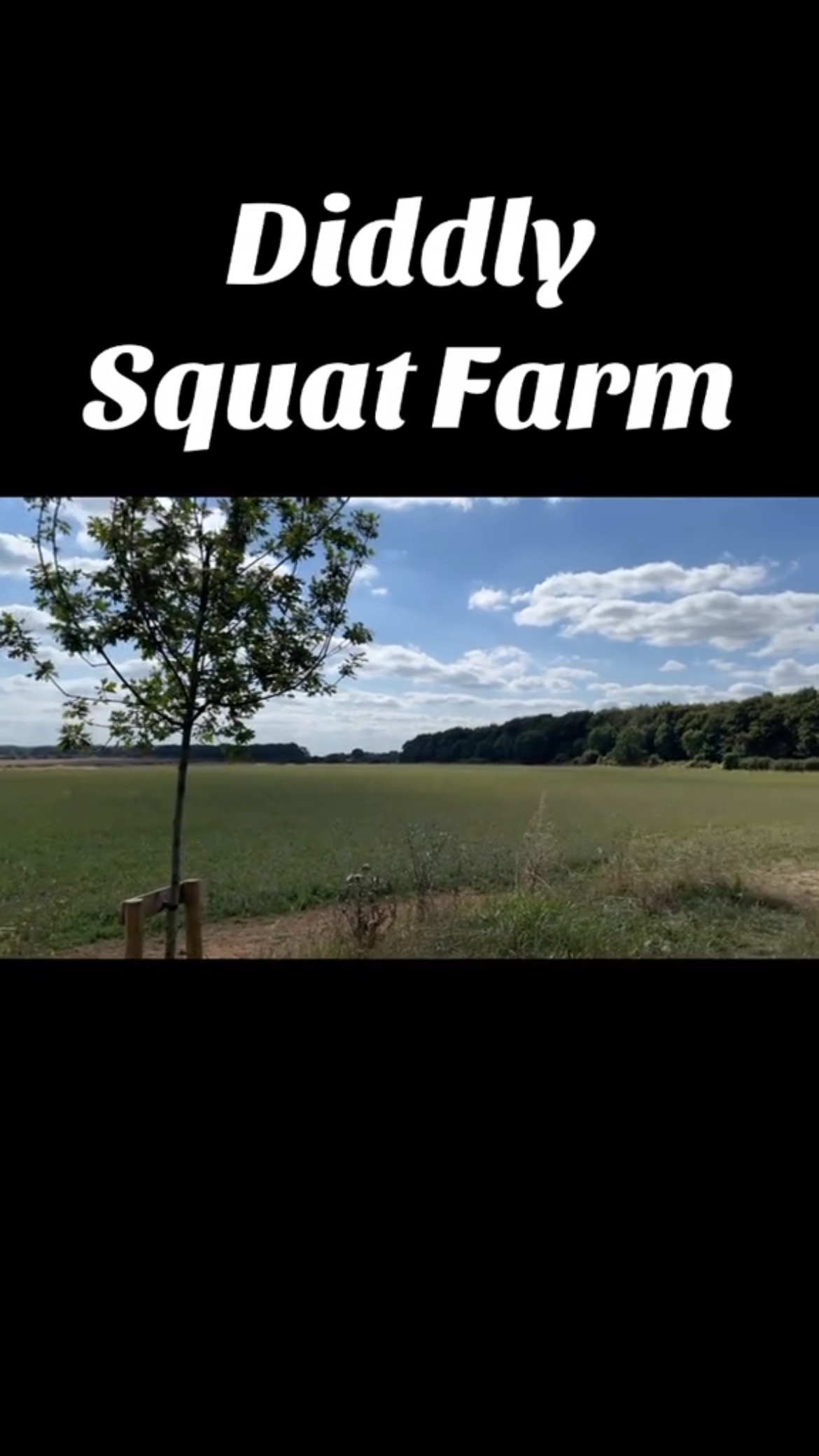 What a view!! #diddlysquatfarm #jeremyclarkson #videography