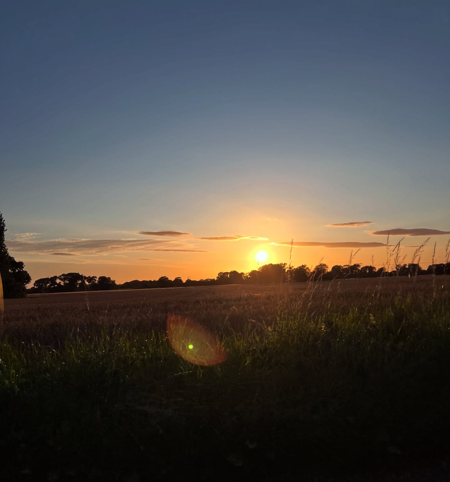 Got to love some Lens flair. #photograph #photographersofinstagram #lensflair #nature #freelancephotographer
