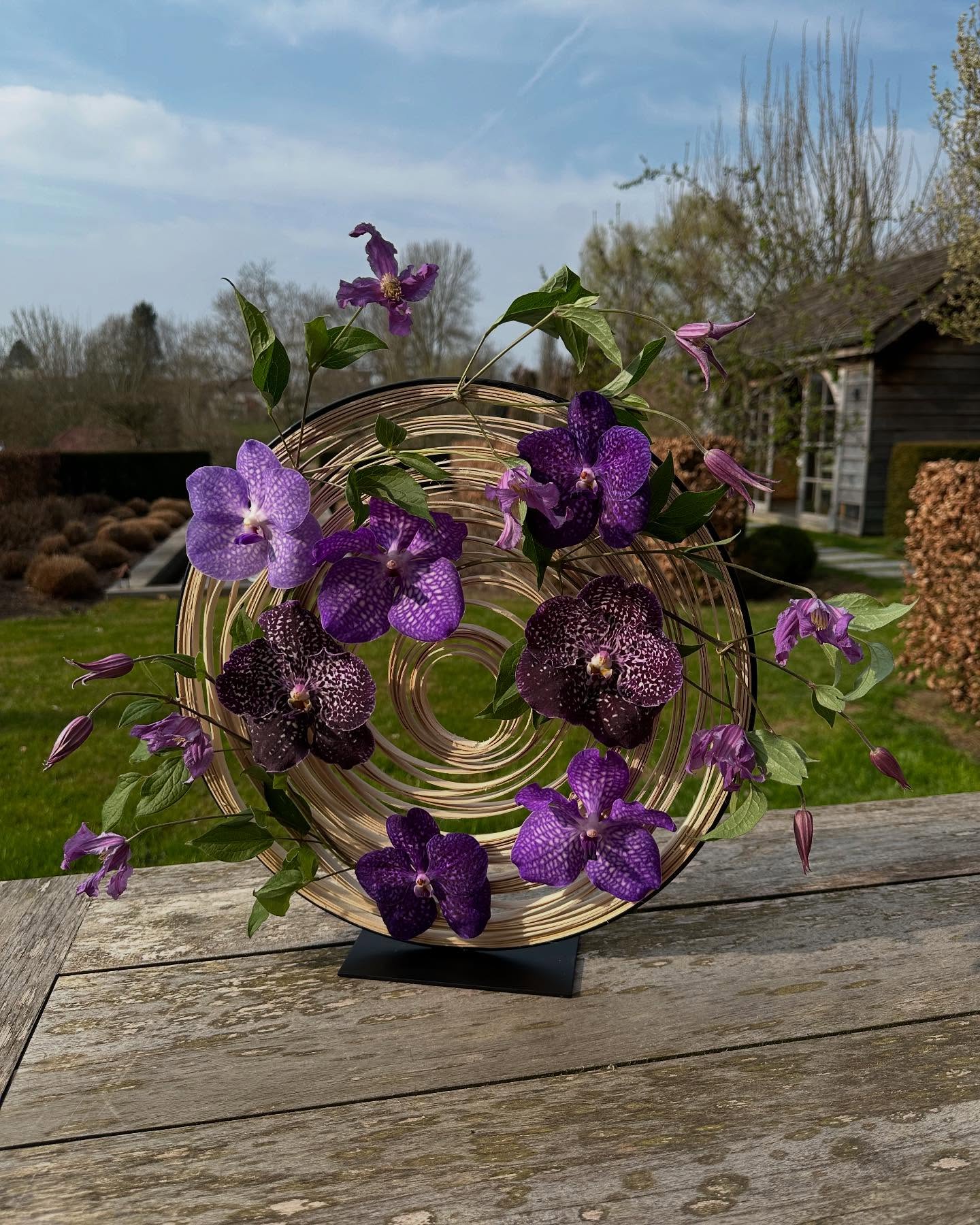 Voici notre « Cyclone » de mars. #fleursaddict #walhain #artfloral #agoragroup #vanda #orchidées