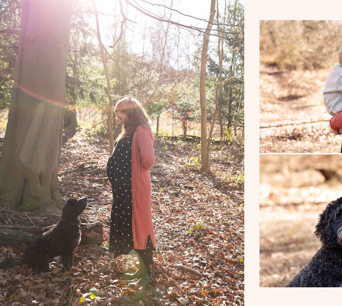 Winter maternity shoot. We were so lucky to get some of that gorgeous winter sunshine. ☀️
.
.
.
.
#sjrichardsonphotography #familyphotographer #oxfordphotographer #bensonphotographer #familyphotoshoot