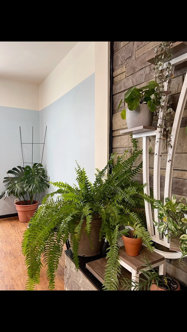 Apply today at the link in our bio! 🥳
Not your typical networking event. The Mega Photoshoot & Networking Event is all about creating a relaxed, positive environment where creatives can connect, collaborate, and have fun. No awkwardness—just good vibes and amazing talent.
If you're a hair or makeup artist looking to join the next event apply at the link in our bio.
Models featured:
@sweet_like_honey.99
@Bridget
@model_cassiee
@Alalaloren
@Vikka.klubnika
@Heather_mann29
@sydneym_modeling
@sweet_like_honey.99
@Cuppycake1717
Glam Squad:
@ka.mua.y
@kierstenkoetter
@j.fred.styles
@itskristincrawford
BTS Footage:
@bmiller_images
BTS of the BTS footage😂:
@brennacwhalen
Event founder: @spiritandthreadcrochet
#rocgirlbosses #rochesterny #rochesternysalon #rochesternyhairstylist #rochesternymua