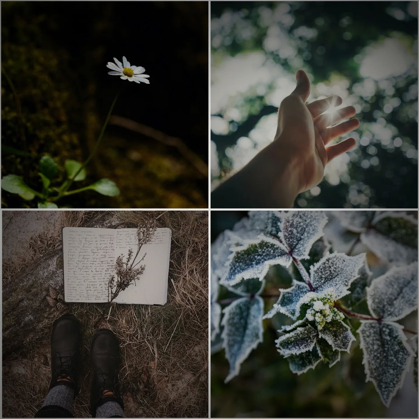 The Seasons of Health: Embracing the Natural Cycles
🌱 Winter: Rest & Restoration – A time for deep nourishment and recovery. When energy is low, support the body with warming, nutrient-dense foods and stress reduction. Just as nature rests, so should we.
🌿 Spring: Growth & Renewal – Energy begins to return. Focus on fresh, vibrant foods, gentle movement, and small, sustainable habit changes. This is the season to plant seeds for future health.
🌞 Summer: Vitality & Expansion – The body thrives with optimal metabolism and strength. Hydrating, cooling foods fuel energy, while movement and connection bring joy. Celebrate progress and live fully.
🍂 Autumn: Reflection & Preparation – A time to transition inward. Grounding foods, introspection, and gentle movement help prepare for the restorative winter ahead. Release what no longer serves you.
🌿 Health is Cyclical – Just like the seasons, our bodies go through phases of growth, balance, and rest. Honouring this rhythm prevents burnout and nurtures long-term well-being.
Where do you feel you are on your health journey? Do you feel you need help with transitioning from season to season but unsure how to go about doing this? DM me for guidance, and together we'll help your body bloom xx
#SeasonalHealth
#MindfulLiving
#HealthyEating
#NourishYourBody
#EatTheRainbow
#FoodAsMedicine
#MindfulEating
#WellnessJourney
#HealthyHabits
#LiveWell
#HolisticHealth
#FuelYourBody
#EatSeasonal
#SeasonalEating
#FarmToTable
#LocalAndFresh
#NatureNourished