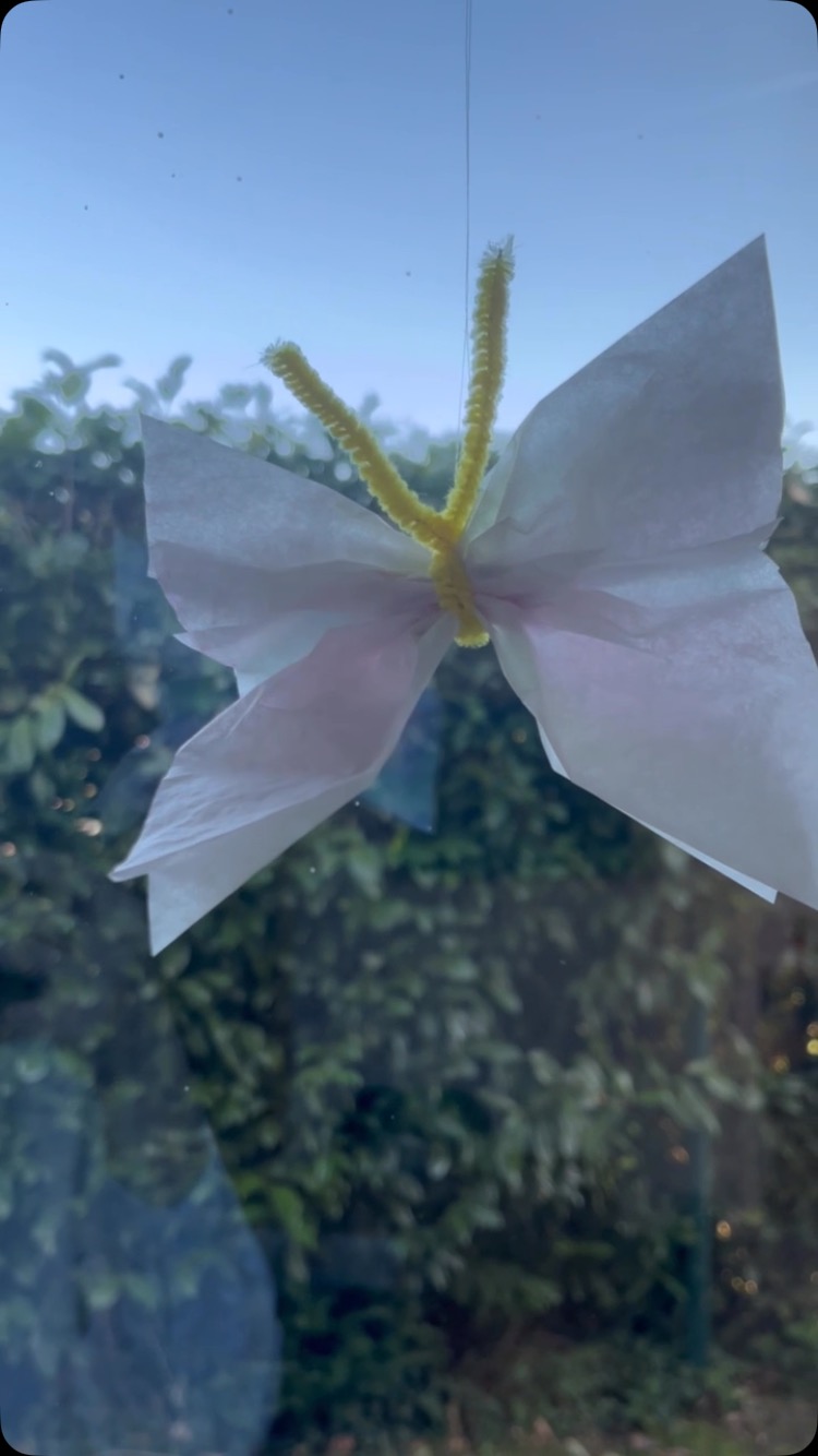 Bei uns flattern jetzt diese kleinen Frühlingsboten im Wohnzimmer herum. Die süße Fensterdeko könnt ihr ganz einfach aus Butterbrotpapier oder Kaffeefiltern basteln. Flügel bunt bemalen mit Filzstiften oder Wasserfarben, evtl. mit Wasser besprühen damit die Farben ineinander laufen. Trocknen lassen und anschließend mit bunten Pfeifenreinigern bestücken. Habt einen schönen Frühlingsbeginn 🦋
#bastelnmitkindern #frühlingsdekoration #schmetterlinge #konfettimeerbusch