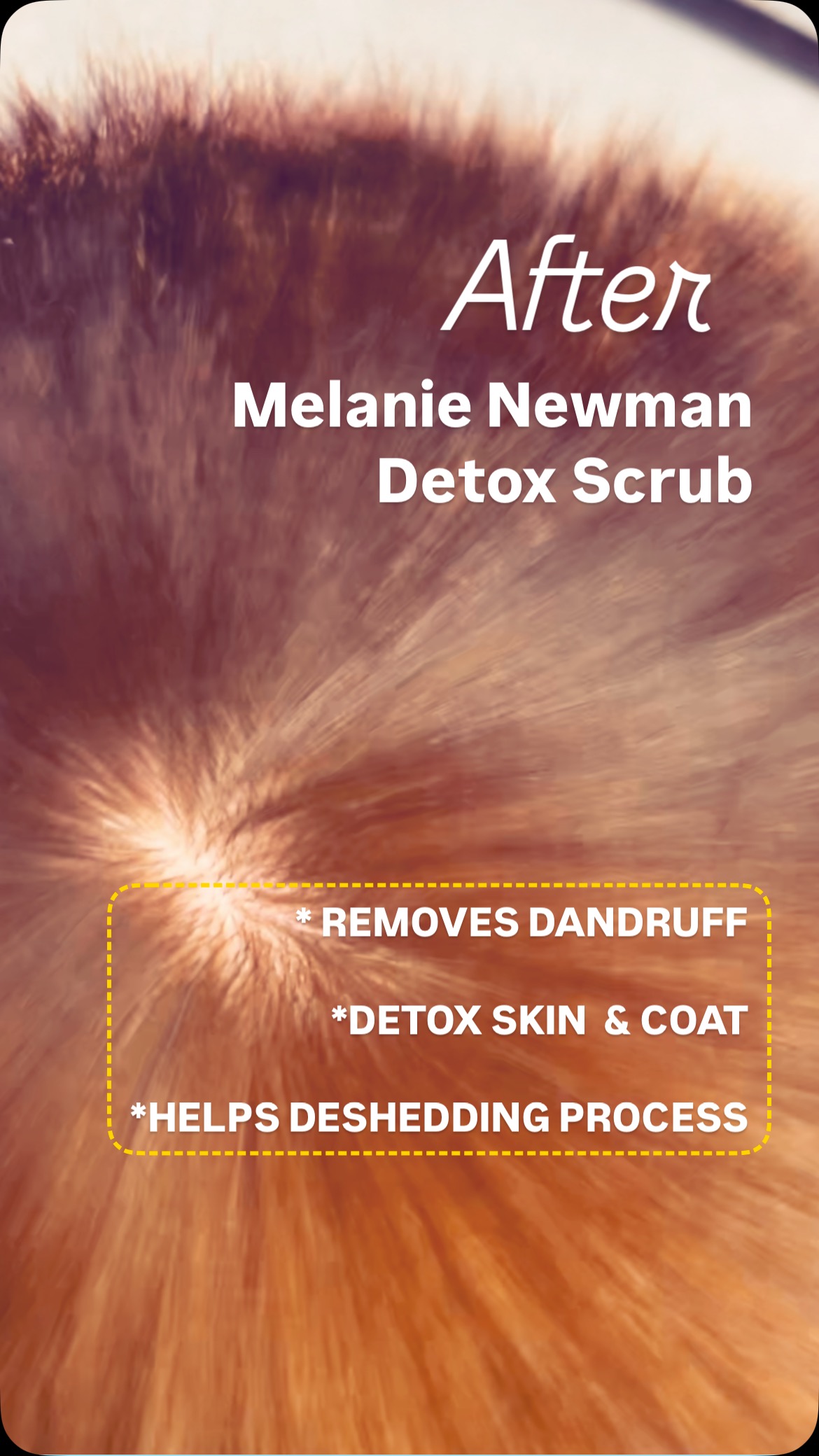 🤲Feels so great for our hands too!
🧽Add a detox scrub treatment to your next groom from just $10!
#doggroomerwantirna #wantirnamall #doggydayspa #pamperyourpup #melanienewman_salonessentials