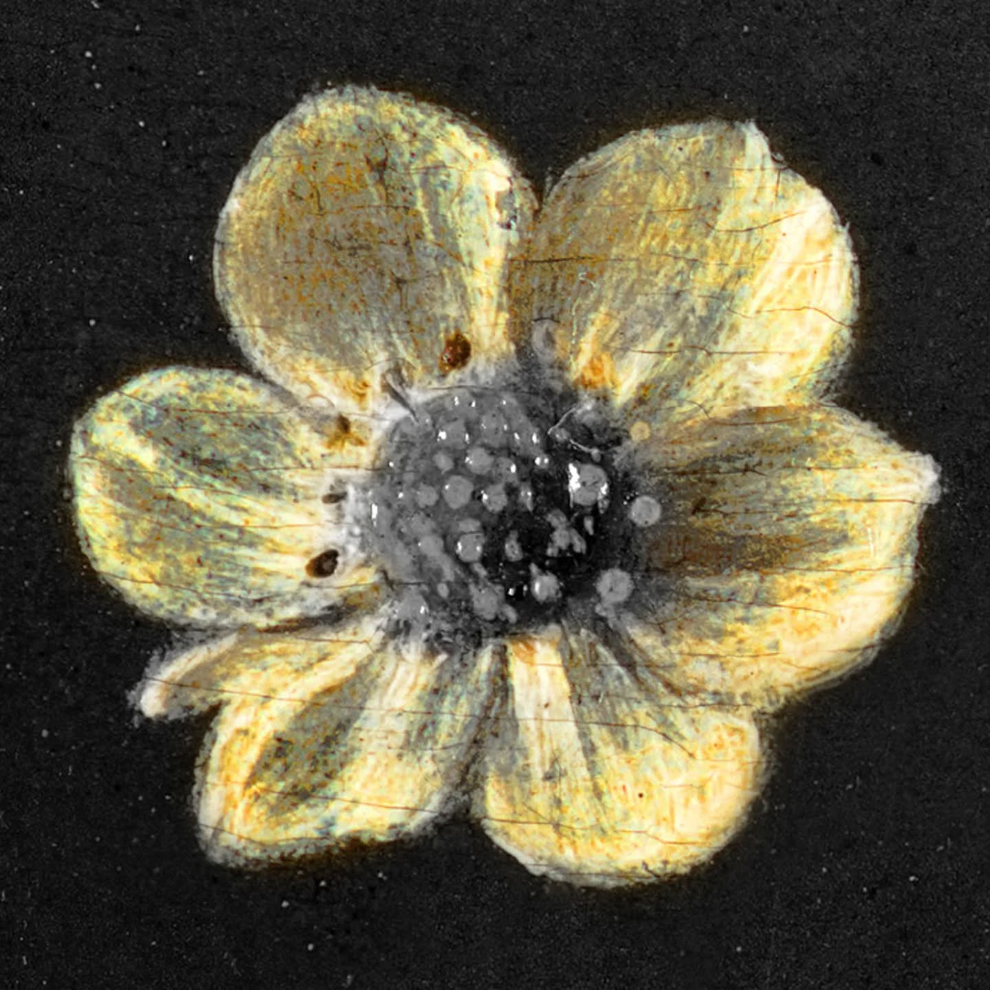 Waarom is juist een bloem het logo voor mijn restauratieatelier? 🌿 Kom erachter op mijn blog: https://wix.to/GaShMQb #Logo #Restauratie #Schilderijenrestauratie