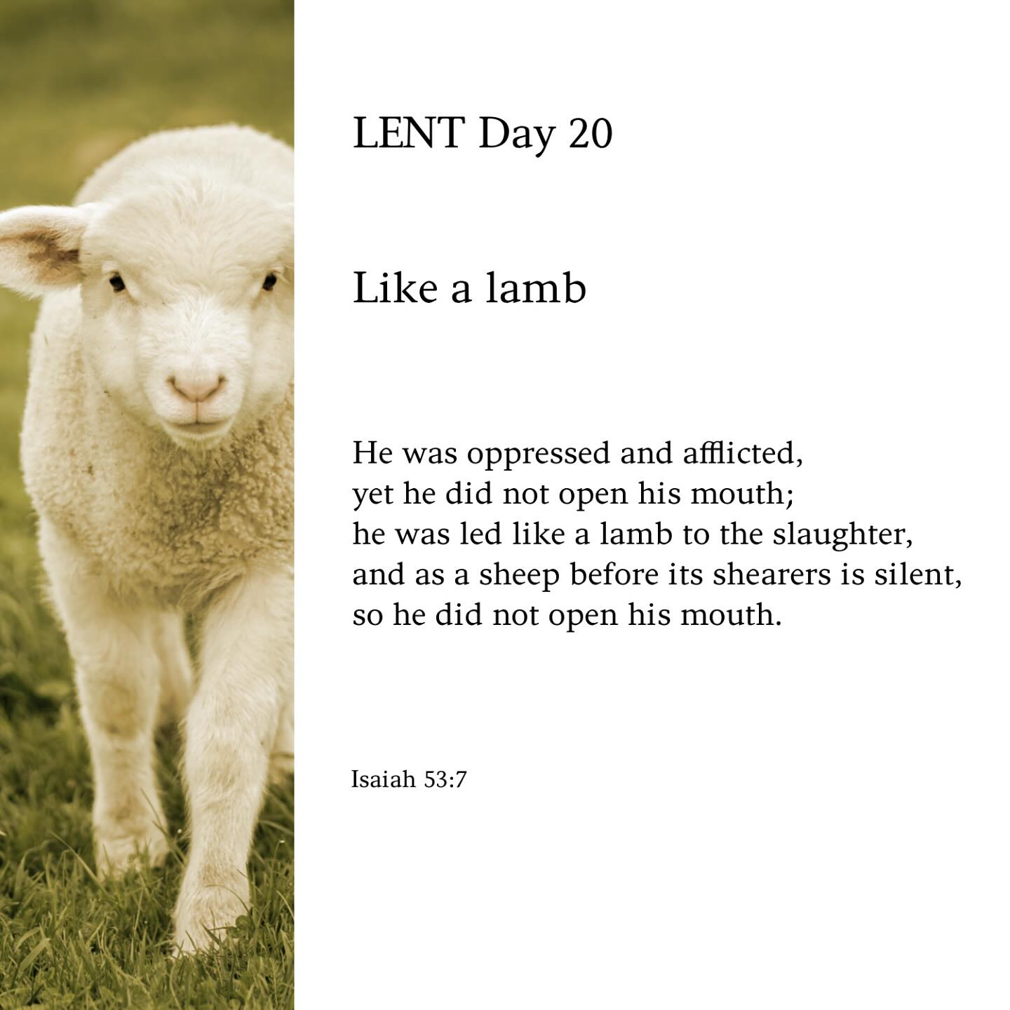 Remember our Bible Study on Thursdays 9:30am - 11:30am at St. Elizabeth Seton Catholic Church.
www.womenschristianfellowship.org
You can also join us on our Podcast
WCF Spotify 🎧 https://bit.ly/3EK3zYc
Apple 🍏 https://apple.co/4k4iqwD
Youtube🎙 https://bit.ly/4k22cEu
Women’s Christian Fellowship is now a Podcast on Spotify, Apple and Youtube. Please like ✅ Follow & Subscribe and never miss another bible study with Angie Lake and Kiki Carney
#WCF #StayPrayedUp #Lent2025