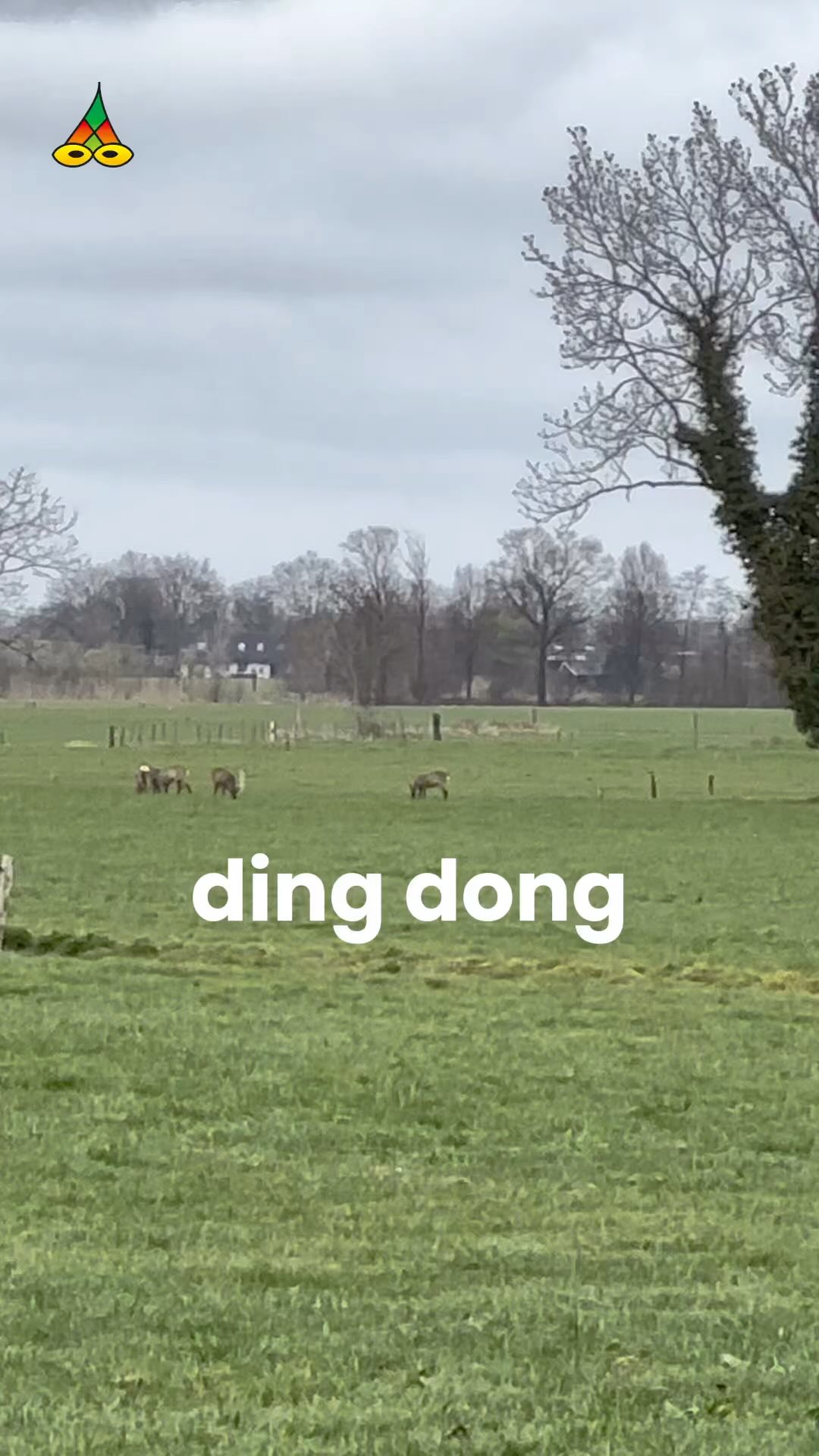 - Ding dong
Een ode aan de vrijheid
Volg het @poeziejournaal - dichterlijke reportages met rechte rug en open hart.
✍️ Maurice Jonkers & 🎥 Hilma ten Boske
Wil jij ook een gedicht of optreden?
Stuur een DM of kijk via de link in bio.
#ree #poeziegemeenschap #vrij #vrijheid #ubuntu #overdemuur en #liefde voor #muziek #poezie #poëzie #poëzieopinstagram #instaboek