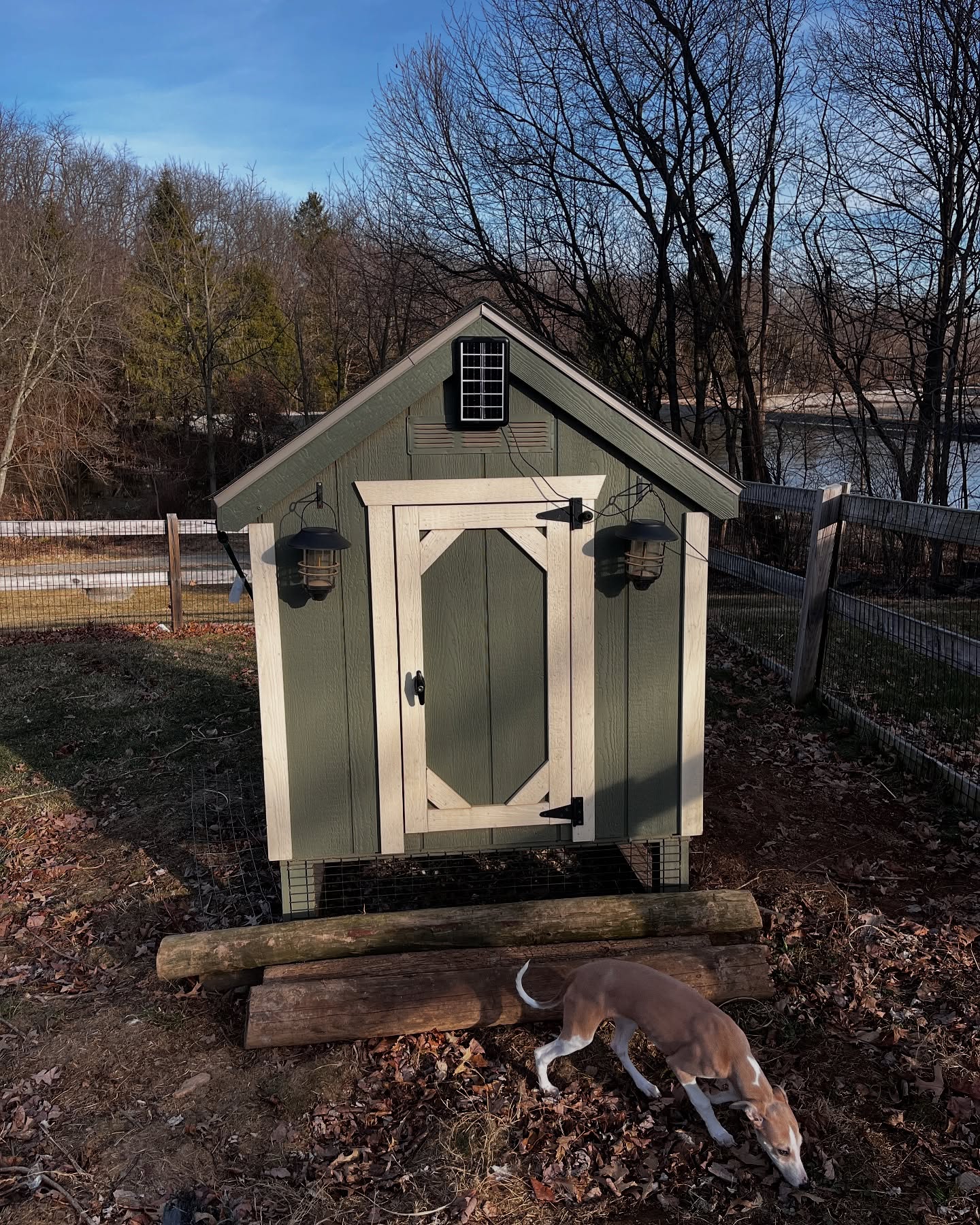 The slow and laborious process of expanding the chicken run to accommodate more chickens 🫠