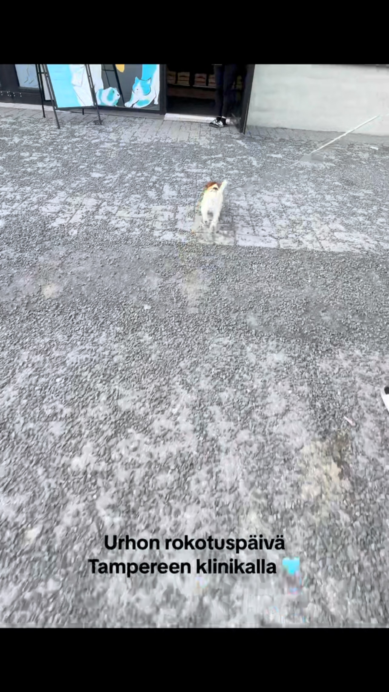 Urhon ensimmĂ€inen rokotus pennun elĂ€mĂ€ntaipaleen alussa! đ©”