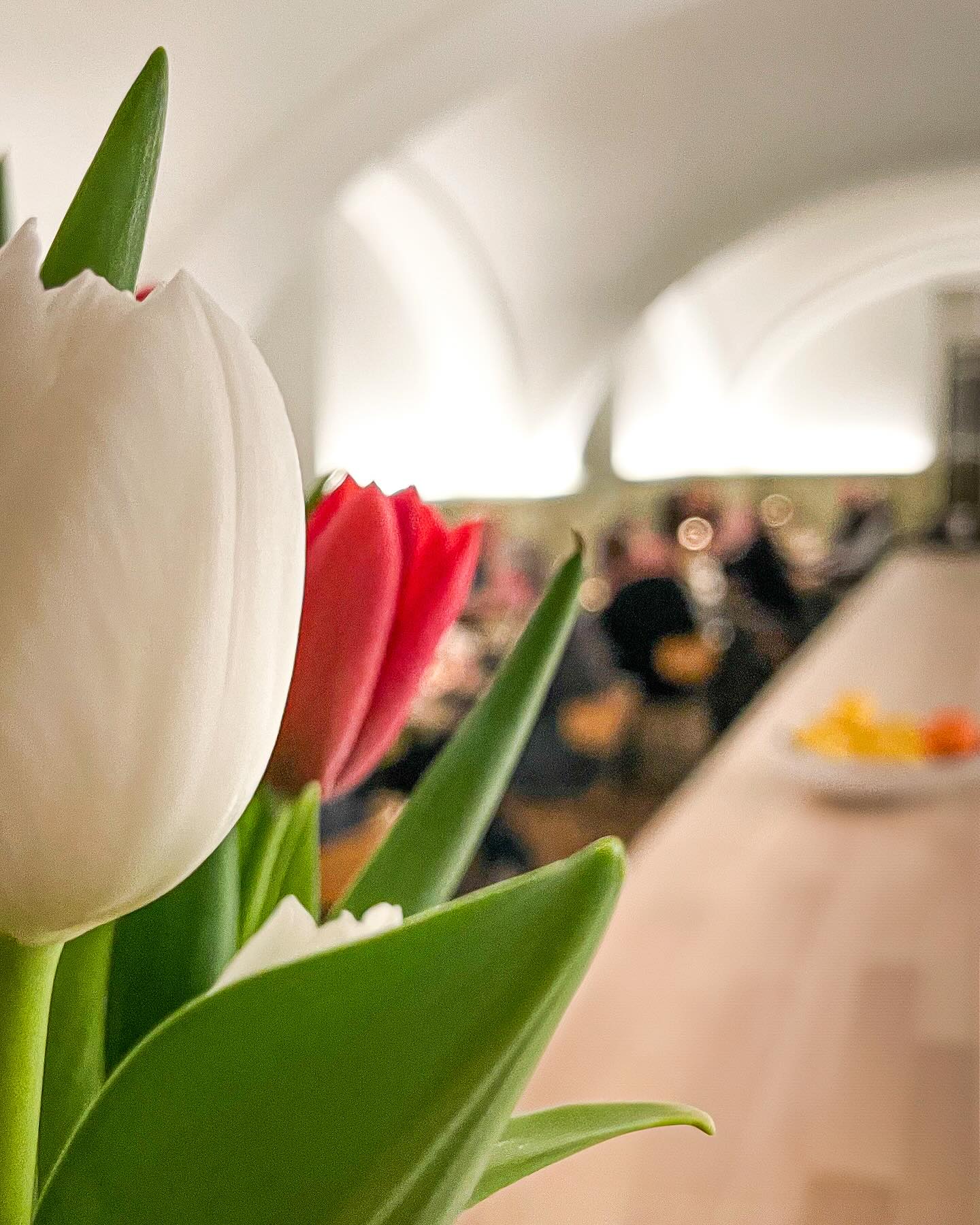 Liebe Freunde, wir sind zurück aus Italien und haben ab morgen, Donnerstag, wieder geöffnet. Schaut vorbei, wir freuen uns auf Euch! 🤗
#rossetti #cucinamediterranea #passau #trattoria #italienischgeniessen #mediterran #foodlover #fisch #steak #vegetarischgenießen #vegan #passauliebe #mittagsangebot #mittagspausegeniessen #mediterran #passauliebe #inmoodforfood