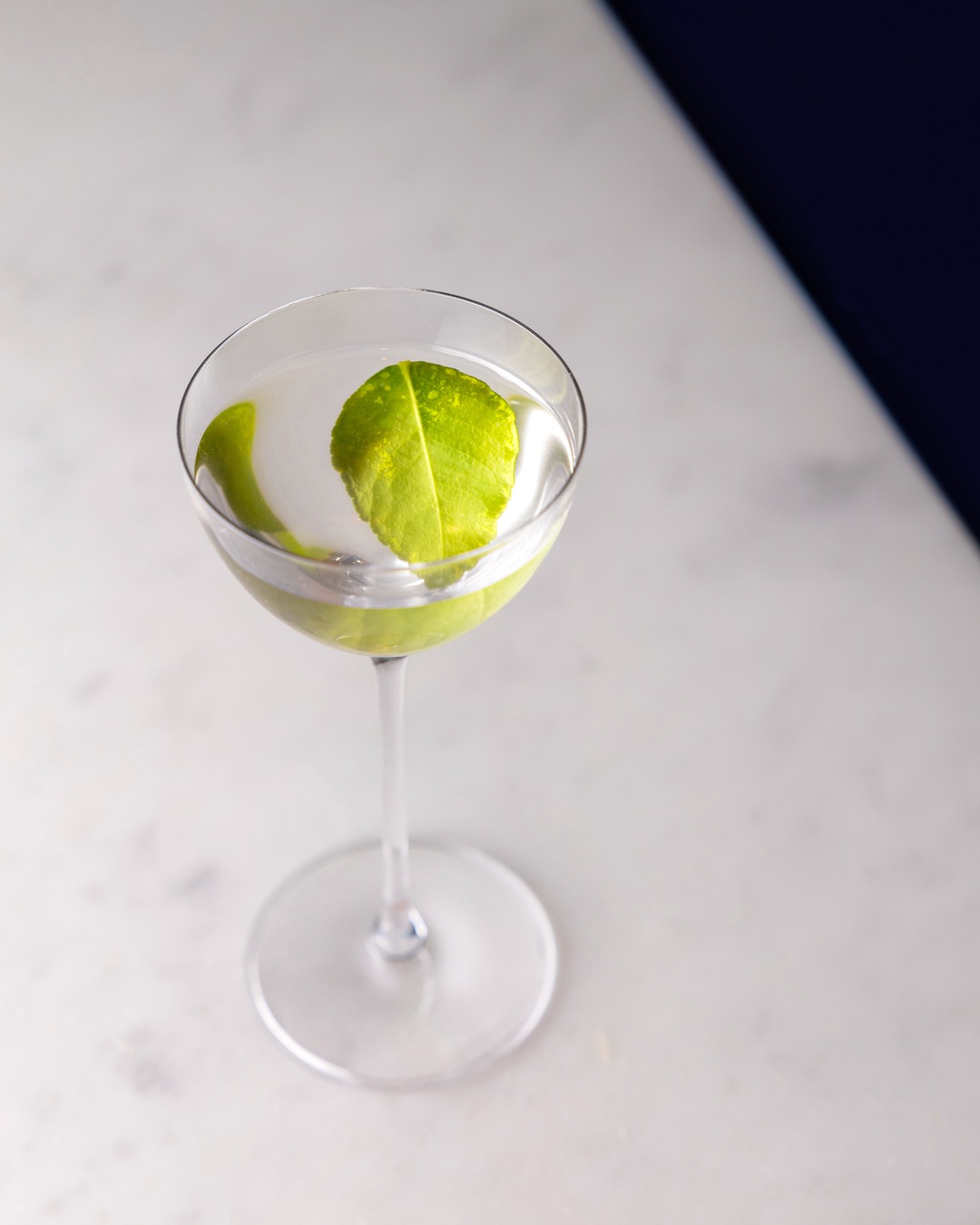 ELLE EST UMAMI ?
Shochu Yamatozakura 3S, Sotol La Higuera, Rinquinquin, Regan’s bitter, sésame.
📸 @desprezmarie.studio