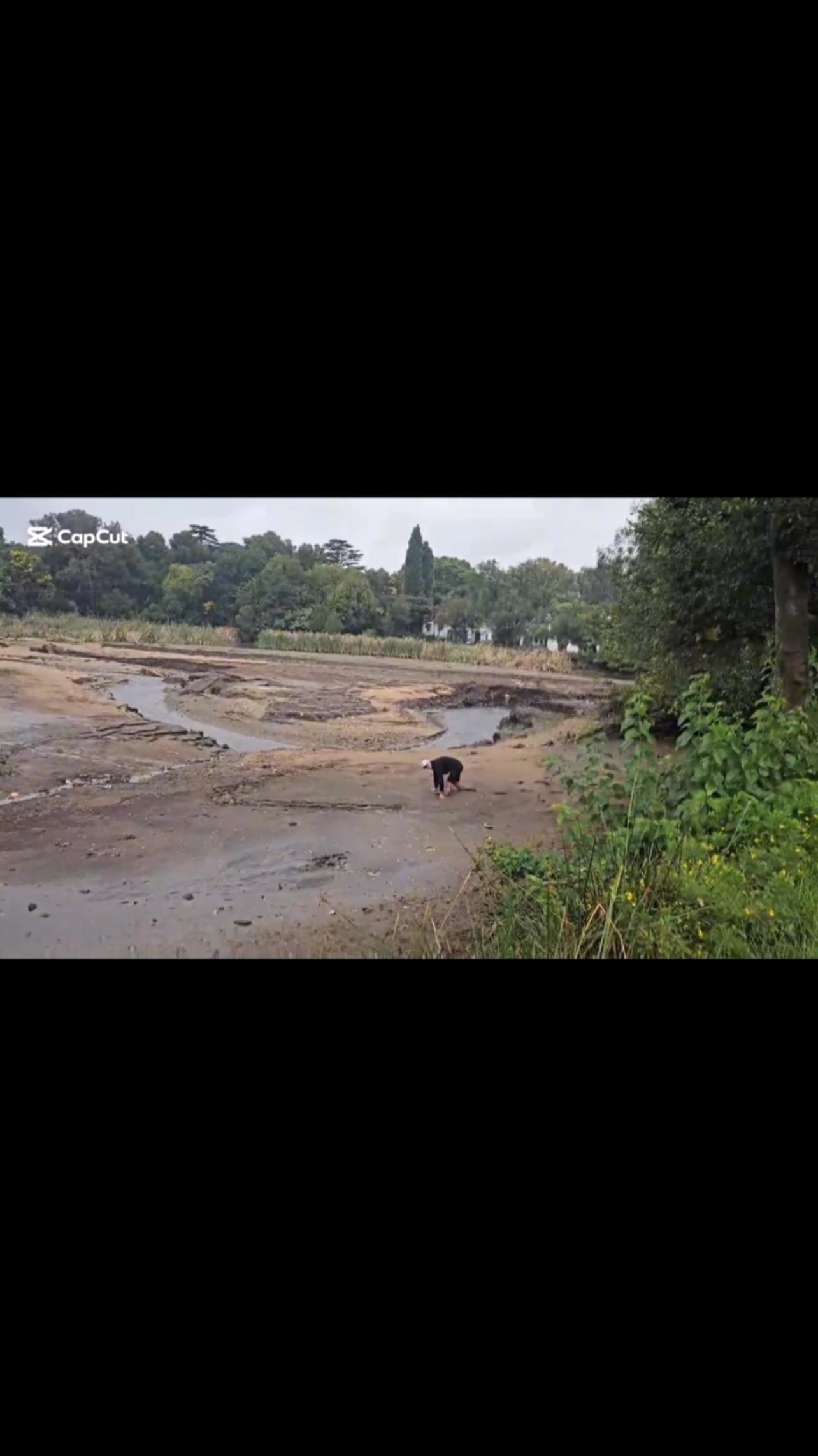 GETS Golf student Brogan Koch, will never leave a Titleist Pro V behind. The best ball in the business @titleist_sa @titleist @randparkgolfclub #fyp #golf #golfacademy