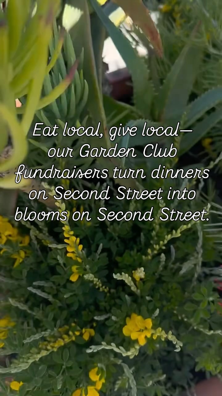 Join us for a bite that beautifies! 🍽️🌿
A few times a year, local restaurants team up with us to turn a great meal into something even more meaningful—philanthropy. Today, we’re partnering with our beloved @naplesribcompany who will generously donate 20% of sales to the Garden Club.
Funds raised help support our Club and its long-standing beautification projects—like the large concrete planters lining Second Street. Lovingly maintained by our members, these containers stretch seven blocks through the heart of our shopping and dining.
So grab a friend (maybe your favorite Garden Club gal), drop our name when you dine in or take-out, and enjoy a meal that gives back to the neighborhood.
A win-win for your plate and your community. 💚