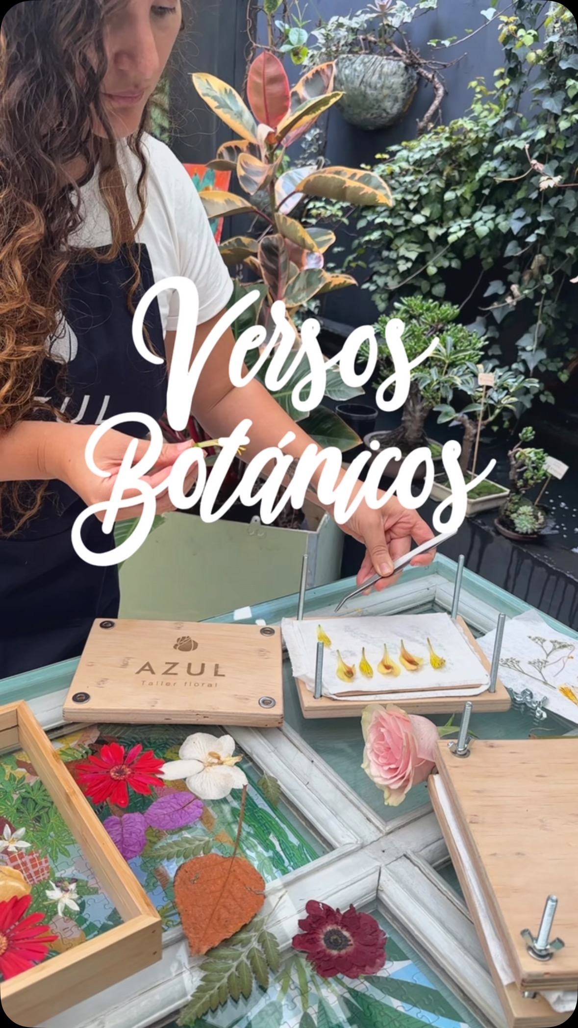Versos Botánicos 🌿 un taller 100% experiencial. A través de mi experiencia lograremos conectar el PRENSADO BOTÁNICO con lo que somos. Llevarás tu prensa y todos los materiales para que sigas conectando con las flores 🌹. Ven y aprende flores que se pueden prensar, técnica y texturas. #bienestarfloral #talleresflorales #conexiónnatural #autocuidado #artebotánico #artebotánico