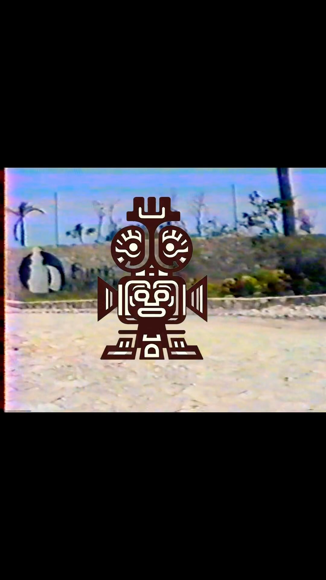 We’ve uncovered some rare vintage footage of Puerto Aventuras from 36 years ago! Here’s a teaser… More on the way… #paiff #pafilmfestival #puertoaventuras #filmfestival #rivieramaya @puertoaventurasoficial @pa.hotel
