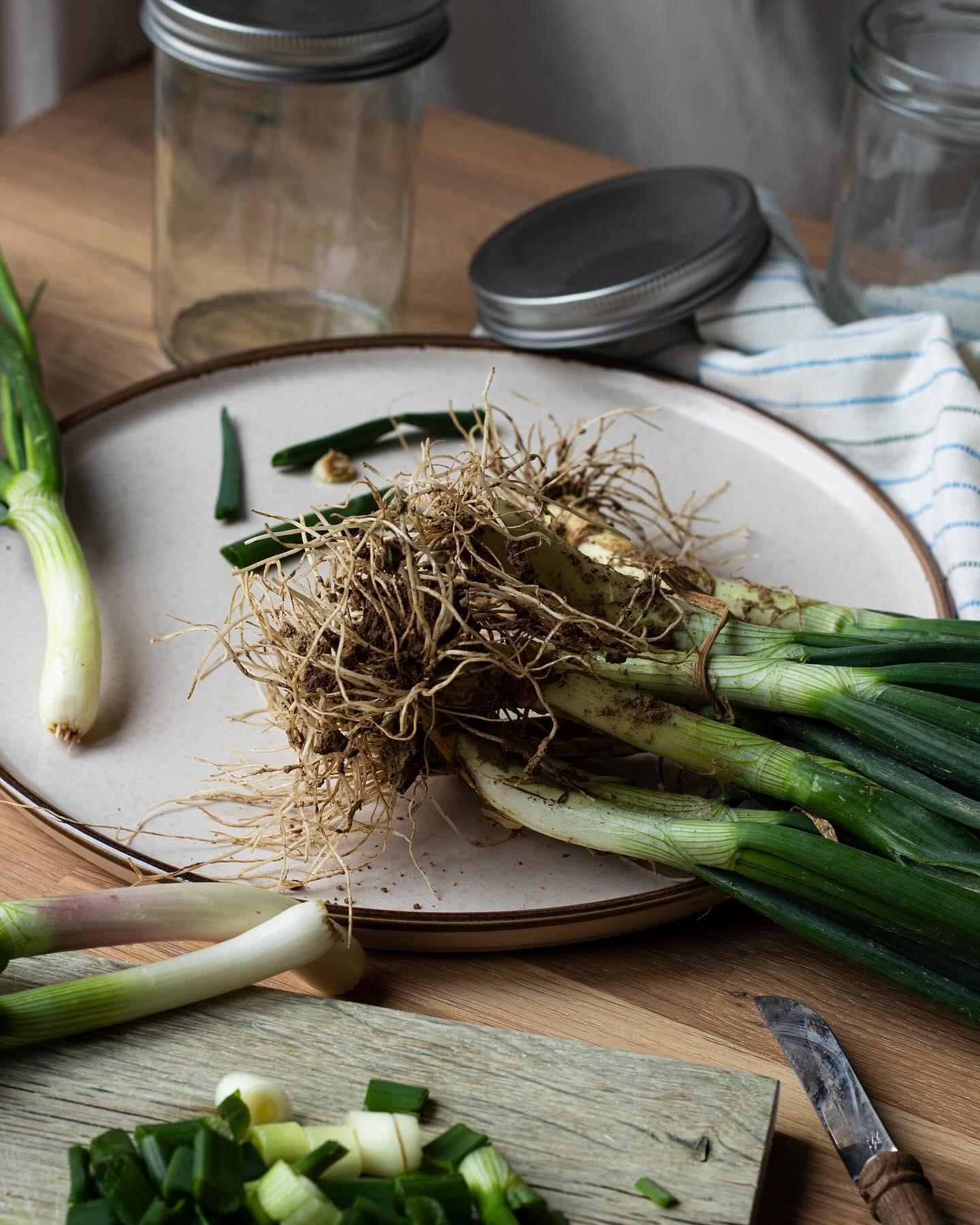 Frühlingszwiebeln - sind für uns wie der Name schon sagt, ein weiterer Bote fürs Frühjahr und den Start der neuen Vegetation. Für die Frühlingszwiebeln, die wir aktuell ernten, wurden die Steckzwiebeln bereits im September gepflanzt. Immer wieder erstaunlich, wie die zarten Pflanzen den Wetterkapriolen des Winters standhalten. Ich mochte bisher Frühlingszwiebeln am liebsten in unserem frischen Pflücksalat. Doch jetzt habe ich die Tage dieses feine Rezept von @herzelieb entdeckt, ausprobiert, probiert und mich verliebt. ❤️ - so simpel und sooo gut. Ihr nehmt 220g Frühlingszwiebeln schneidet sie in dicke Ringe. Die geschnittene Zwiebeln in Gläser schichten. 300g weißer Balsamicoessig (alternativ Apfelessig oder Kräuteressig) mit 125ml Wasser, 75g Zucker, 1/2 TL Salz, 1 EL Senfsamen, 1/2 schwarze Pfefferkörner und 1 Lorbeerblatt in einen Topf geben und aufkochen. Die Flüssigkeit über die Zwiebeln im Glas gießen und direkt verschließen. Dann kommt der schwierige Teil, man muss nämlich mind. 24 Std. das ganze Ziehen lassen bevor man es probieren darf. Aber wartet, es lohnt sich. Wenn nötig, können die verschlossenen Gläser 3 Wochen im Kühlschrank aufbewahrt werden. Die geöffneten gerne innerhalb 3-4 Tagen aufbrauchen. Danke Michaela für dieses tolle Rezept. #frühlingszwiebeln #einkochen #süss #sauer #einlegen #saisonal #hofladenlang #rezepte #einkochen #frühling #ideen #herzelieb #wintersweiler #kandern #karsau #schwörstadt #lörrach #basel #weilamrhein #efringenkirchen #wochenmarkt #wochenmarktlörrach #gemüse #zwiebeln #obst #hofladen
