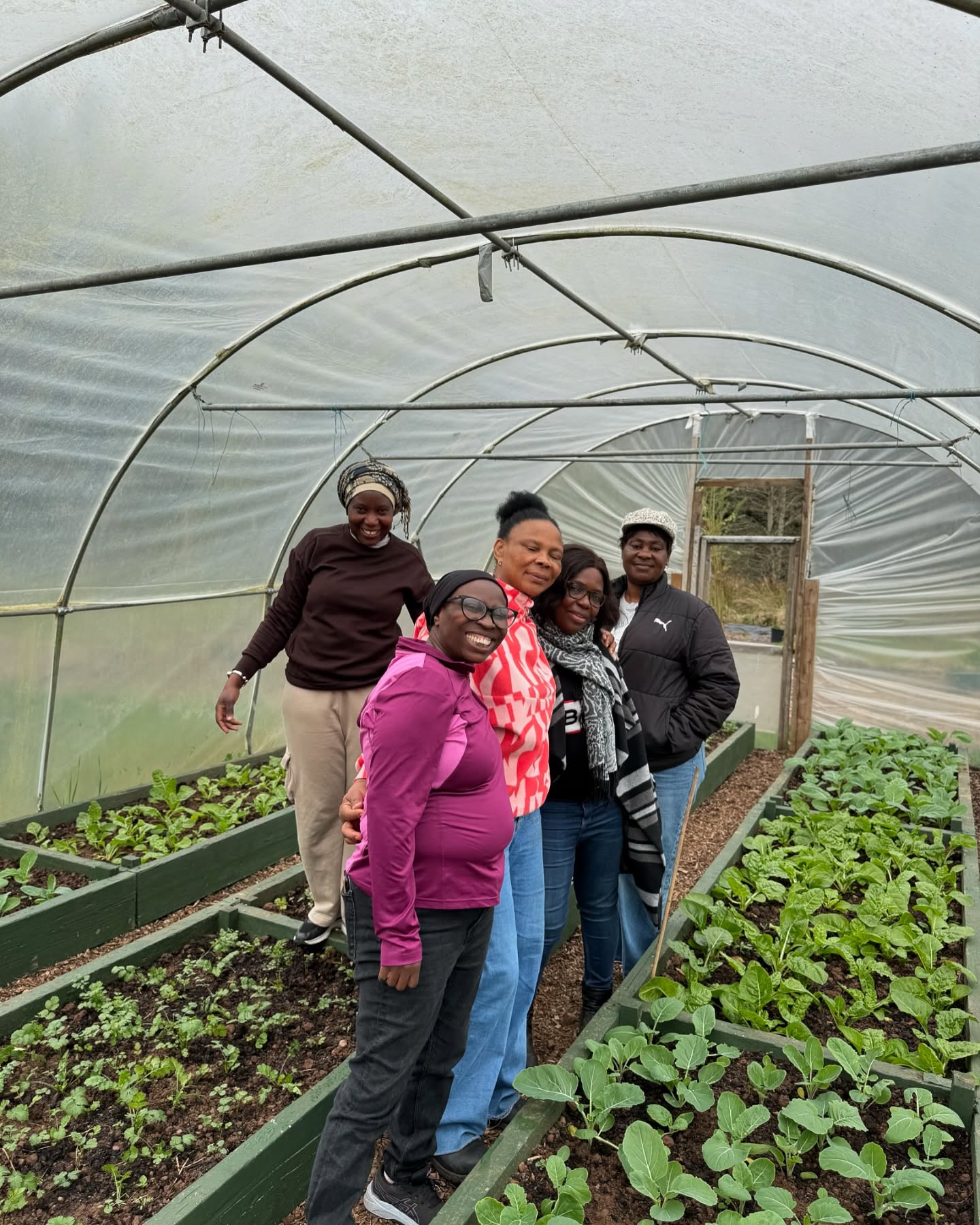 A day full of growth, hard work, and positive energy! Our amazing volunteers put in the effort—seeding trays, watering, and nurturing new life. The polytunnel is thriving, and it’s incredible to see the fresh, healthy plants coming along! #Teamwork #GrowingTogether #GardenLife #Volunteering #corkmigrantcentre #nanonagleplace #ireland #cork #garden #gardening #gardendesign 🦋☘️🌿🧑🌾👩🌾