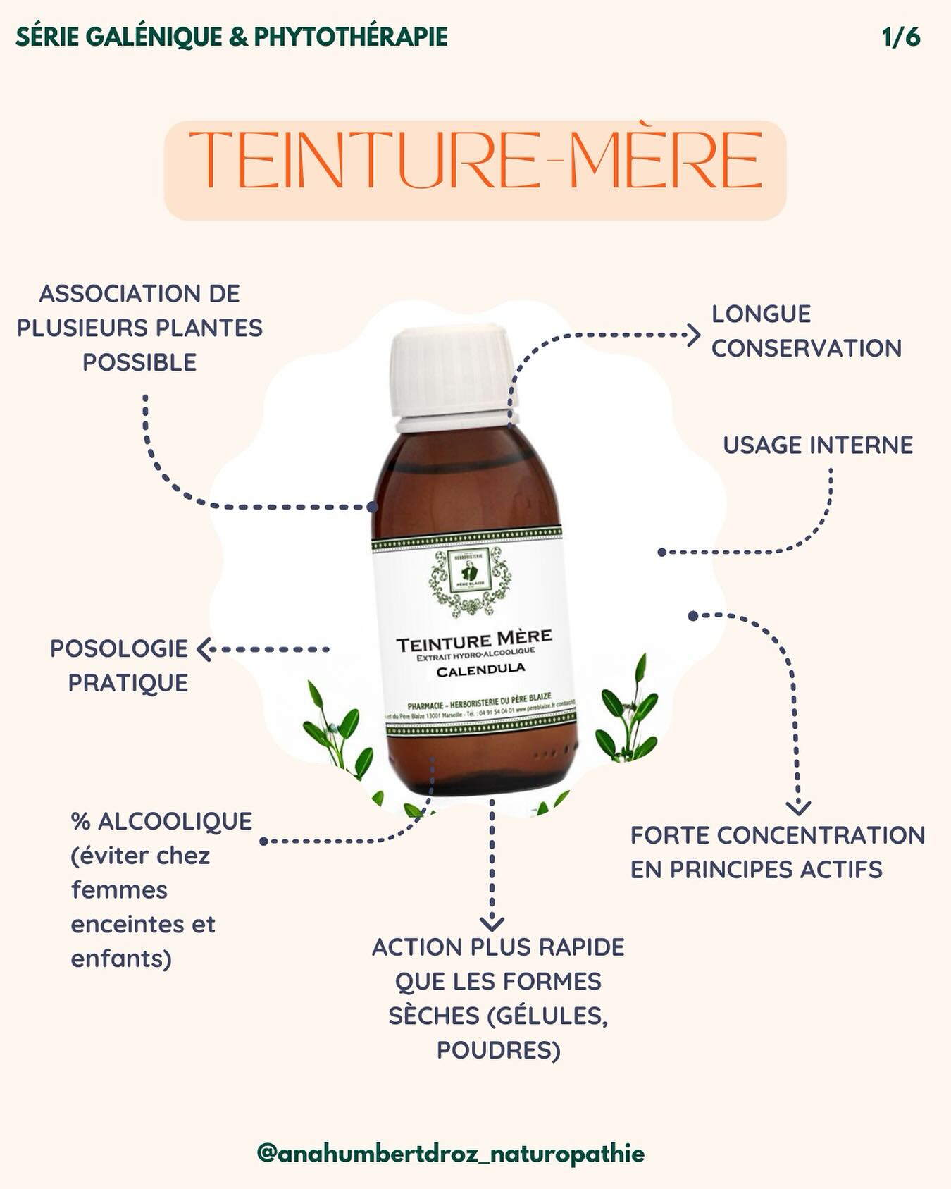 🌿 Aujourd’hui, je démarre une série de posts sur les préparations en phytothérapie, car la phytothérapie, ce n’est pas seulement des tisanes. C’est tout un univers de savoirs et de complexité ! 💚
La première préparation de cette série est la teinture mère. La teinture mère est un extrait liquide concentré obtenu en faisant macérer des plantes fraîches ou sèches dans de l’alcool. Ses propriétés varient selon la plante utilisée, mais voici quelques avantages généraux de la teinture mère :
🌱Concentration élevée des principes actifs des plantes
🌱 Facilité d’utilisation avec des doses précises
🌱 Excellente biodisponibilité, permettant une absorption rapide par l’organisme
🌱 Longue conservation grâce à l’alcool, sans perte de puissance
🌱 Polyvalence, car elle peut être utilisée pour de nombreux maux (immunité, digestion, stress, etc.)
🌱 Pratique, elle est facilement transportable et ne nécessite pas de préparation complexe (juste un verre d’eau!).
Dites-moi, est-ce que vous connaissez la teinture mère ? L’avez-vous déjà utilisée ? 🤔