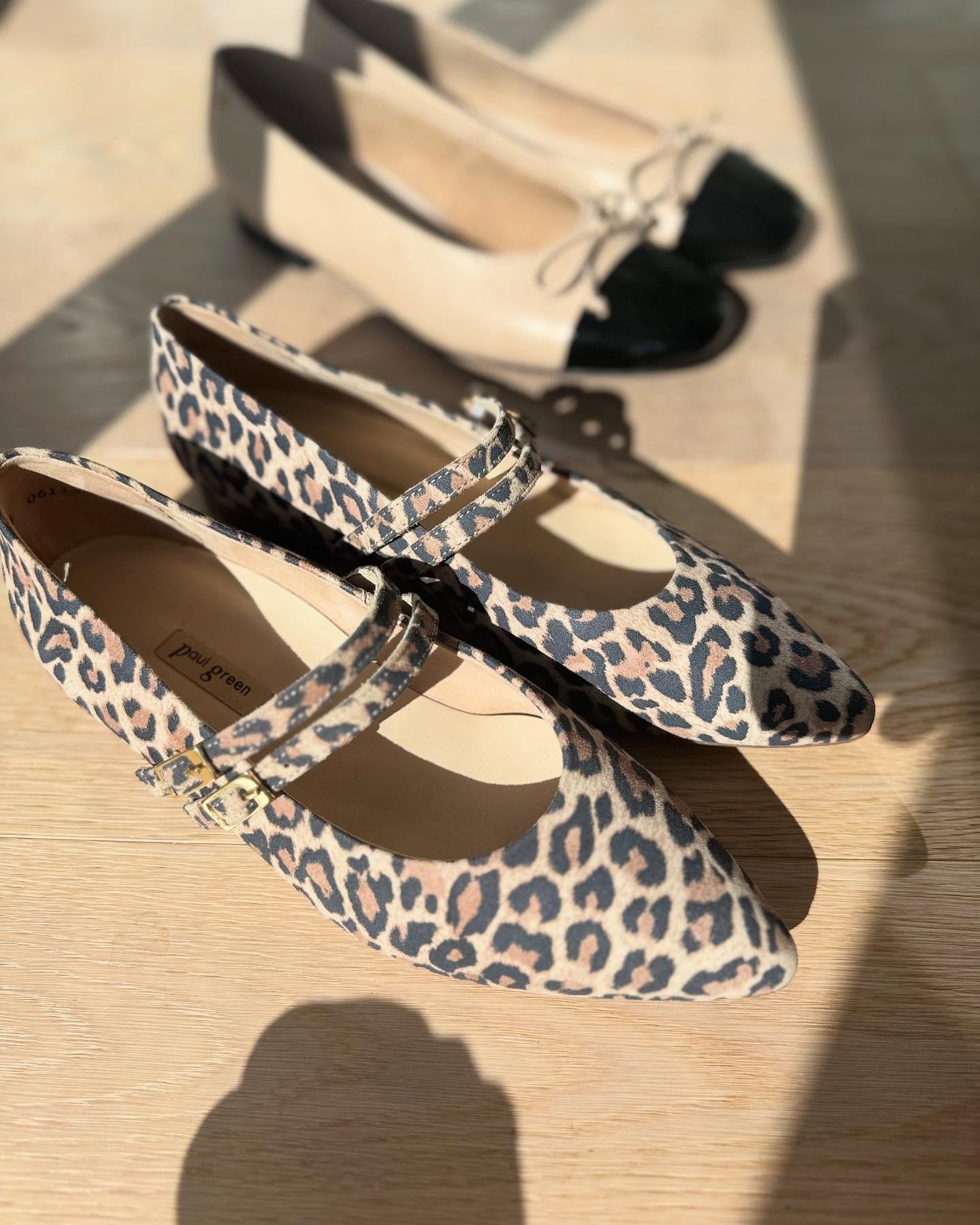 Neu bei uns: Paul Green Ballerinas im Leo-Optik 🐆
Diese eleganten Ballerinas aus Veloursleder passen perfekt zu Wide Leg Jeans und bringen einen stilvollen Akzent in dein Outfit. Ideal für den Alltag und trotzdem ein echter Hingucker.
Jetzt bei uns in Freising und auch in unserem Online-Shop verfügbar!
Schau gerne vorbei und entdecke sie! ✨
#PaulGreen #AnimalPrint #Ballerinas #NeuEingetroffen #StyleInspiration #Langenbach #Wartenberg #Attenkirchen #Kirchdorf #Nandlstadt #Moosburg #FreisingLand #Hallbergmoos #StyleInspiration #Fashion #Trendsetter #Schuhe #ModeLovers #FashionAddict #SchuhLiebe #OutfitInspo #ComfortAndStyle #ModeMustHave #StyleGoals