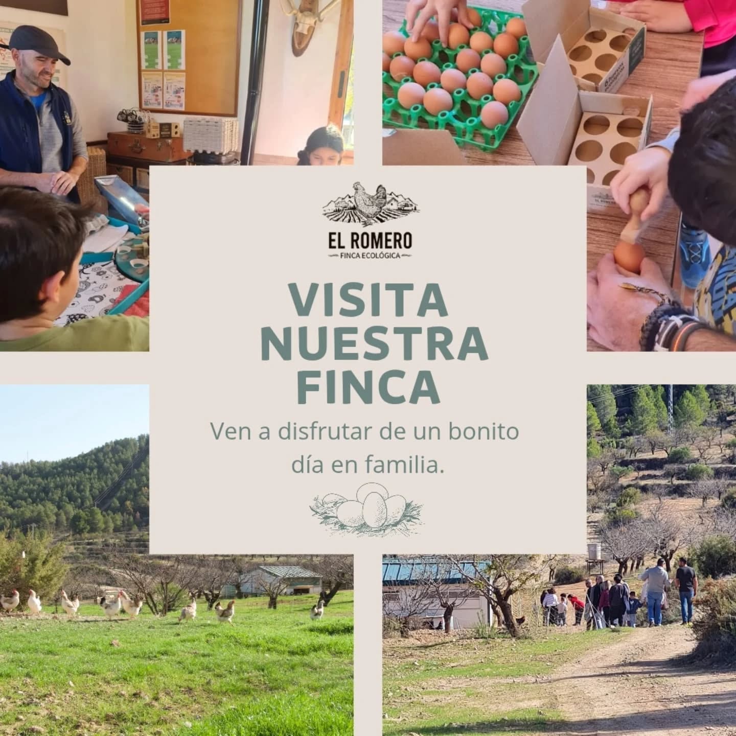 ¡Nuevas fechas para visitar nuestra finca! 💫🐔🥚
🗓 Abrimos tres nuevas fechas en Abril, Mayo y Junio para visitas nuestra finca Con plazas limitadas.👏🏻🎊
Con estas visitas queremos transmitir y que conozcáis de primera mano la importancia de conservar las razas autóctonas y la vida rural, además de ofrecer una experiencia única en la que descubrirás todo el proceso desde la puesta del huevo hasta su comercialización. Es una actividad para disfrutar en familia y/o con amigos en la que el contenido se adapta al público visitante, haciéndolo entendible para todas las edades.🌿🍀
👩🏫 ¿Qué Aprenderemos?
✨️Cómo es un día en nuestra finca: Visita nuestras instalaciones y descubre cómo viven nuestras gallinas.
💫Te explicaremos la importancia de su conservación y el valor de las tradiciones y de las razas autóctonas.
💫 Aprenderás el proceso de clasificación y sellado de huevos: qué es el sello 100% Raza Autóctona y la importancia del Certificado Ecológico.
💫 Elaboración de una manualidad para los más pequeños.
🎁 Obsequio de gratitud por la visita.
‼️ Plazas limitadas: Máximo 30 personas por visita.
Puedes hacer tu reserva desde la sección "visitas" de nuestra web.
Os dejamos el enlace en la descripción y en historias. Cualquier duda preguntarnos por mensaje privado.
#actividadesenfamiliamurcia #visitasrurales #visitafincaecologicaelromero #razasautóctonas #visitasmurcia