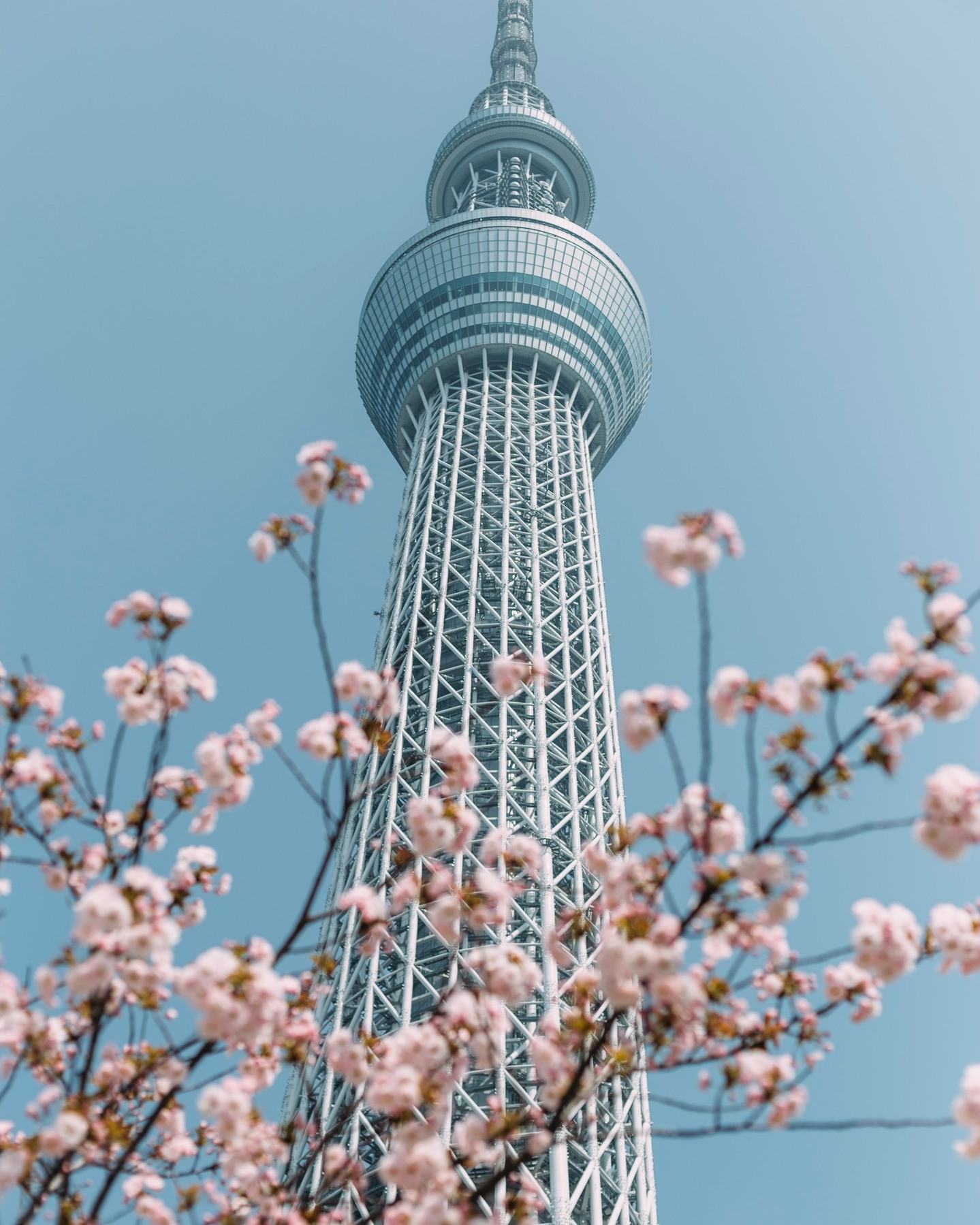 The Tokyo Skytree is a modern landmark located in Sumida, Tokyo. Standing at 634 meters, it is the tallest tower in Japan and the second tallest structure in the world. Completed in 2012, the Skytree serves as a broadcast tower, a shopping complex, and a popular tourist destination with observation decks offering stunning views of Tokyo and beyond.
.
東京晴空塔是位於東京墨田區的現代地標。它高達634米,是日本最高的塔,也是世界第二高的建築。晴空塔於2012年完工,除了作為廣播塔外,還擁有購物中心,並且是受歡迎的旅遊景點,擁有可俯瞰東京及其周邊的觀景台。
.
.
.
.
#japanguide #triptojapan #travelinjapan #visitjapanjp #visitmyjapan #jntosg #visitjapanphillipplines #jntoid #visitjapanAU #japanrevealed #travelgraphy #travelgram #traveling #trending #japanese #instagram #osaka #visitjapanUS #visitjapanCA #skytree #sakura #cherryblossom