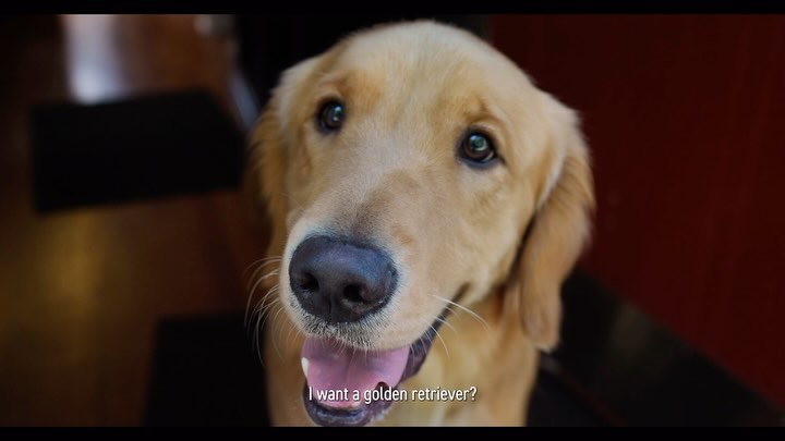 Truly a remarkable story that we had the opportunity to tell this past year, and we encourage you to watch it here.
#videoproduction #videomarketing #focusforwardmedia #testimonialvideo #storytelling #videoproductioncompany #rhodeislandbusiness #productioncompany #creativeagency #bostonbusiness