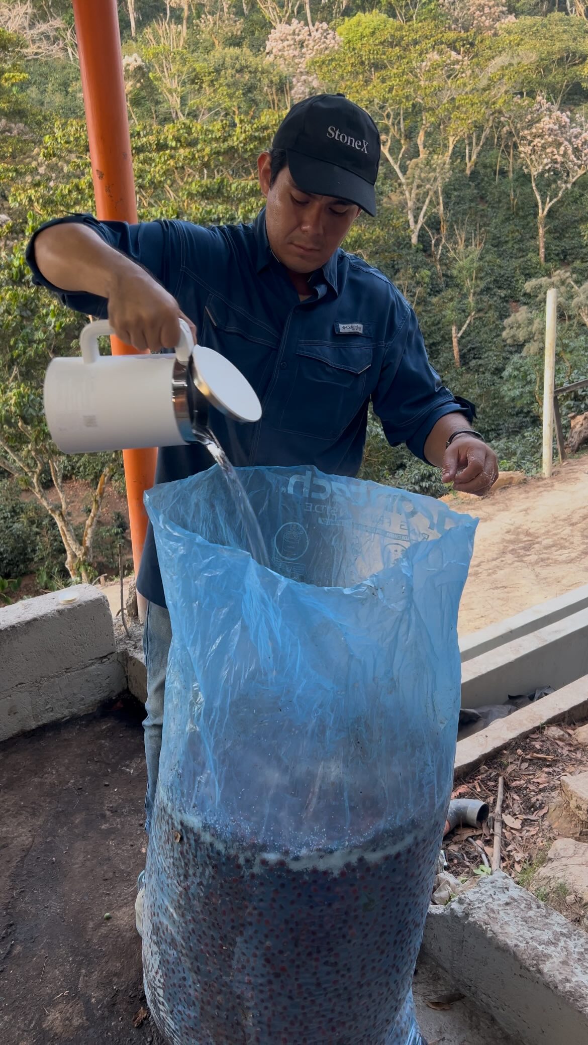 Crafting coffee magic with the basic: Hypoxic fermentation turns our Geisha into a sweet wild flavor bomb ☕️✨ #geishacoffee #coffeeholic #coffeeestate #elgigantecoffee #specialtycoffee #coffeefarm #sca #farmtocup