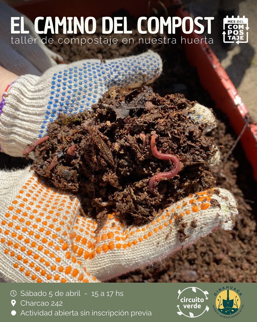 🪱 TALLER DE COMPOSTAJE EN NUESTRA HUERTA 🍅🌱
En el marco del @mesdelcompostaje organizamos en conjunto con @agroecologiaendina un taller en nuestra querida huerta, donde el compost es una parte importantísima de que podamos producir nuestros alimentos y plantines.
🕣 Sábado 5 de abril, de 15 a 17 hs
📍 Charcao 242 (¡nuestra huerta! está en el Barrio Frutillar)
💚 Actividad abierta sin inscripción previa
Si tenés consultas podés escribirnos: 2944655733 (Ailu)
¡Te esperamos! 🧡