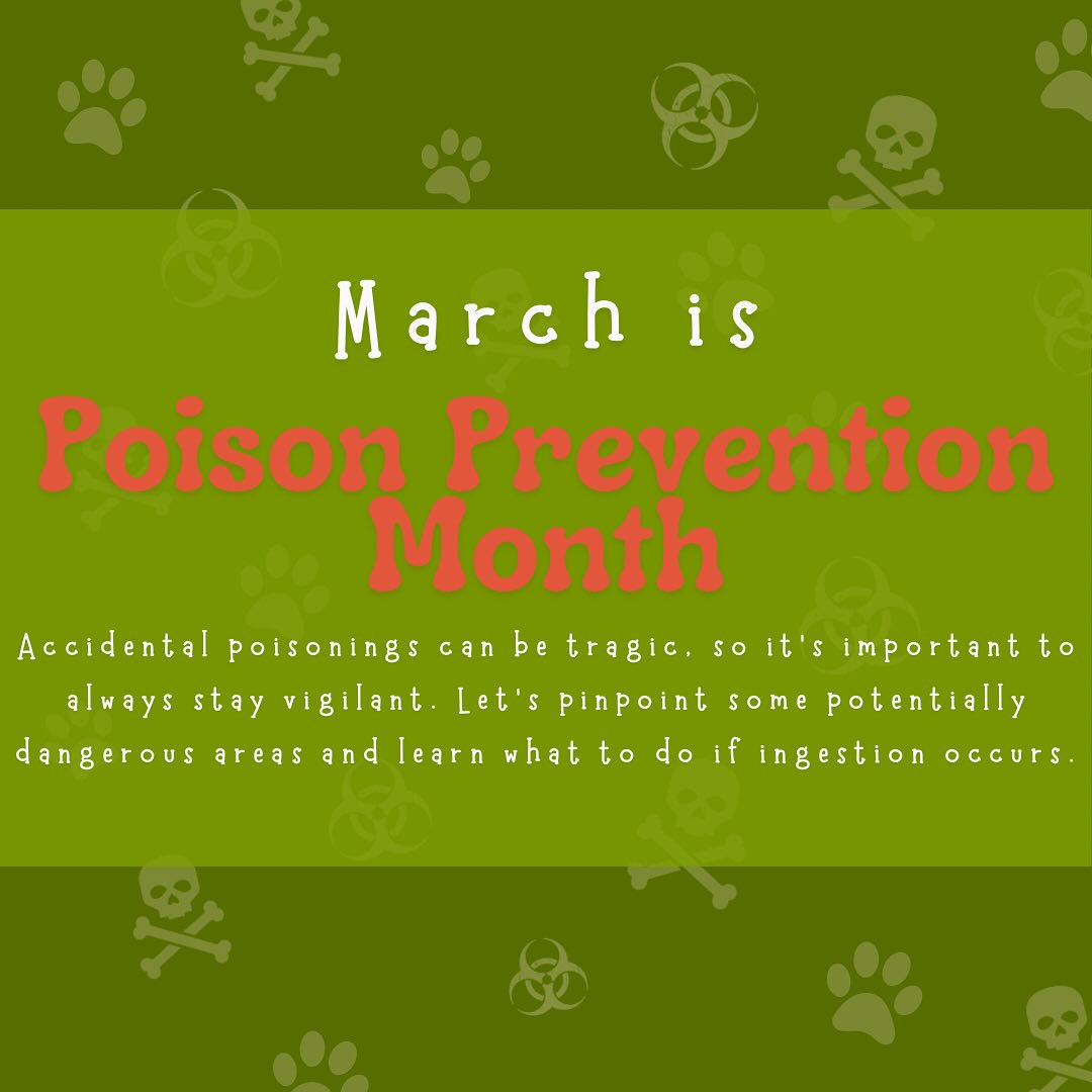 March is Poison Prevention Month 💚