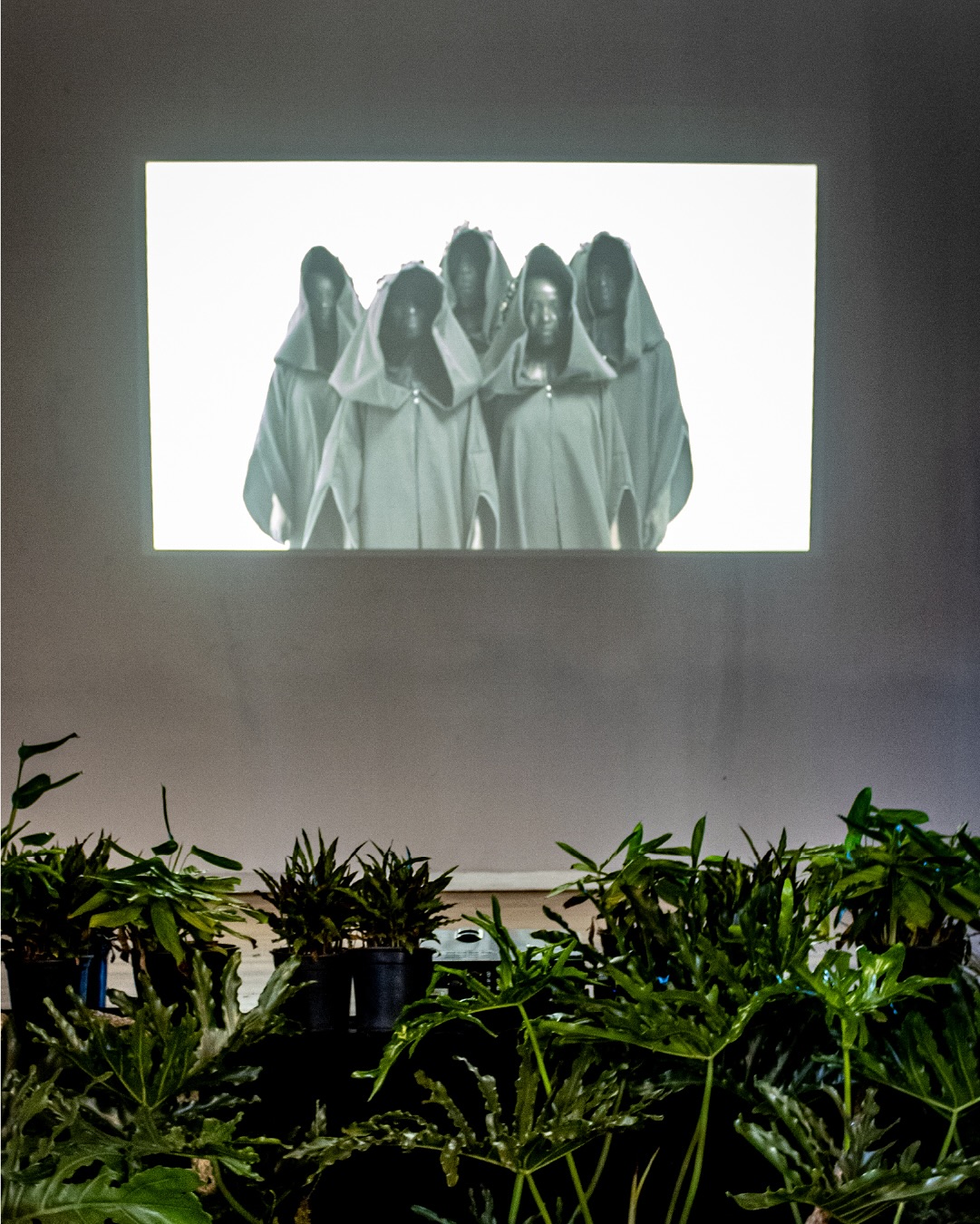 Title: Drexciya & Hablar a plantas/Talk to plants
Artist: Astrid González
Exhibition: Stellenbosch Triennale 2025 On the Cusp
“The Drexciya video and the plant installation are two projects that deal with the meaning of knowledge. In Drexciya we can enter a hidden place underwater, we can think of this black society as maroon people living in a free place. This society has built an organic and spiritual place where human life is maintained in connection with other marine beings. The plant installation is a place where healers heal patients, it is the “in-between” place where knowledge about medicinal plants speaks with knowledge about ceremonial and funeral songs.”
View González’s installation at Oude Libertas until the 30th of April or for the full artist statement, visit https://www.stellenboschtriennale.com/artworks/drexciya-hablar-a-plantas-talk-to-plants
©️Images by @jumpinthegun_creative
#ST25 #ST2025 #StellenboschTriennale #StellenboschTriennale2025 #AstridGonzález #ArtInstallation