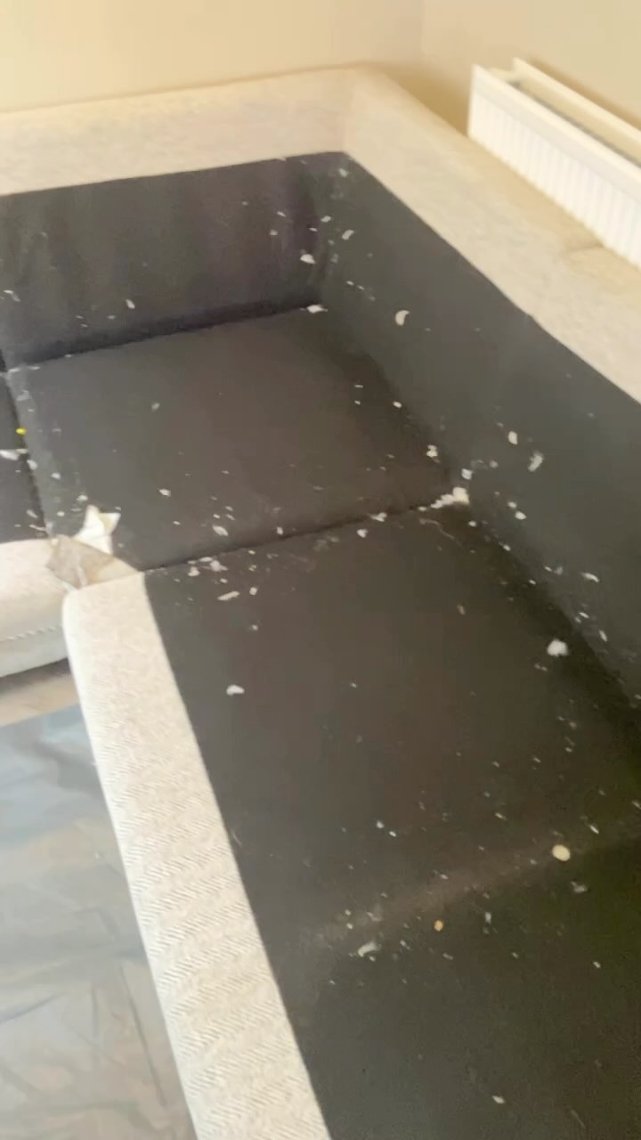 In-depth Hoover & Deep Clean On This Sofa Base🪮☑️
🧹Professional Cleaning Company
📍Beds/Bucks and surrounding areas
📧smithscarpetcleaning@outlook.com
🌍https://www.smithscarpetcleaning.com
📞07908086888
🌳ECO Products
🧼Carpets, Upholstery & Hard Floors
💧Stain Protection
🌵DRY IN 1 HOUR or less (usually before we leave)