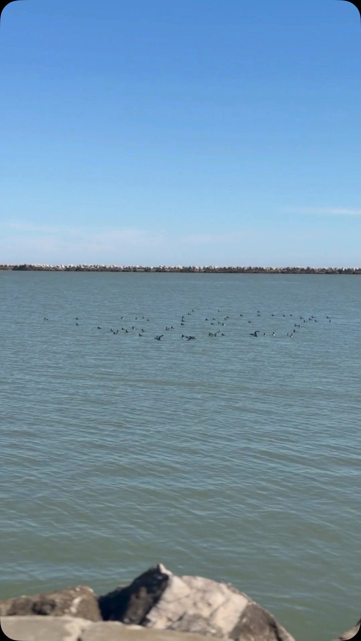 Sunny, warm days are ahead of us! ☀️
#conneautohio #lakeerie #sunnydays #northeastohio #funinthesun