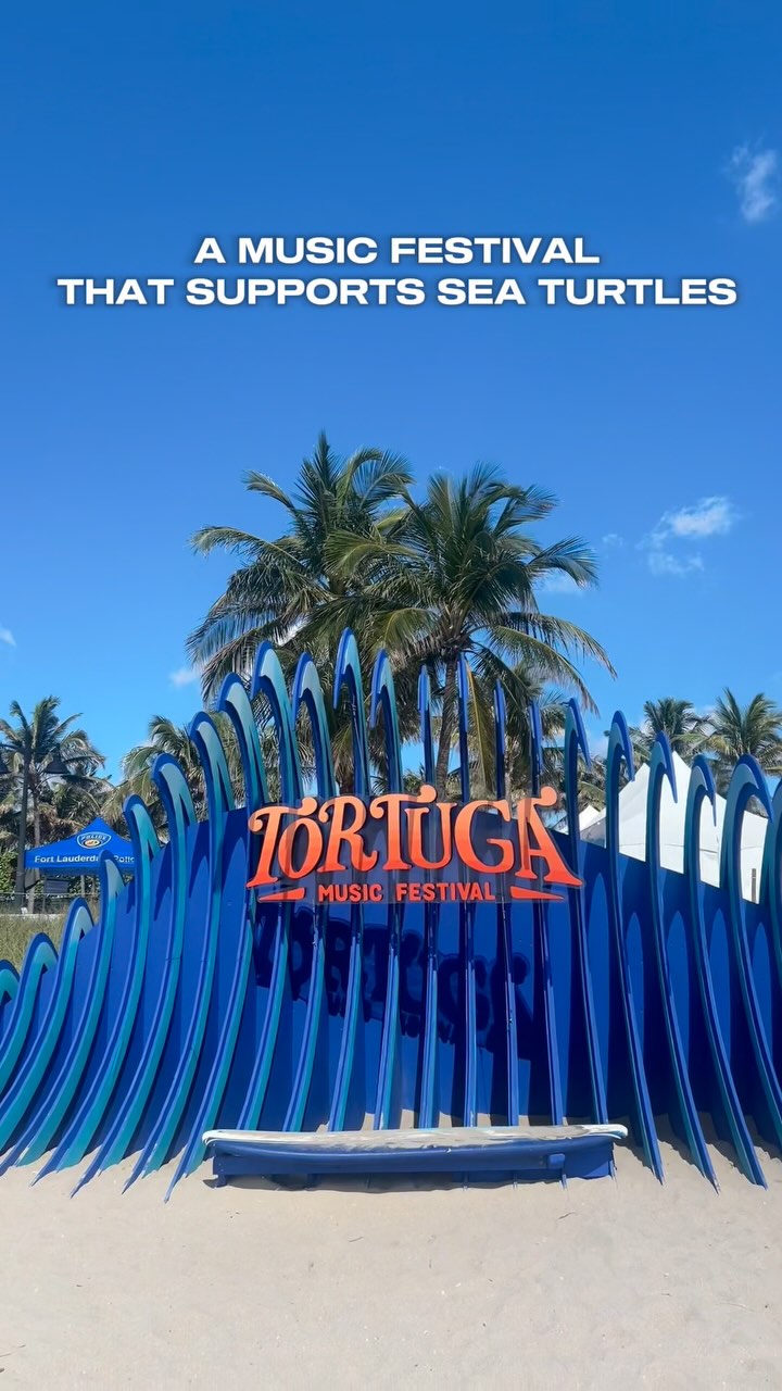 Our hatchlings had some help! 🐢💚
Come check us out at @tortugamusicfestival with @rocktheocean THIS WEEKEND for music, ocean conservation, and more!!! 🌊🎶
Learn about how we help Fort Lauderdale sea turtle hatchlings, enjoy a plethora of ocean-friendly organizations in conservation village, and help out our sea turtles yourself by planting your very own sea oat on the beach! 🌾
Sea you on the beach - April 4,5, &6!