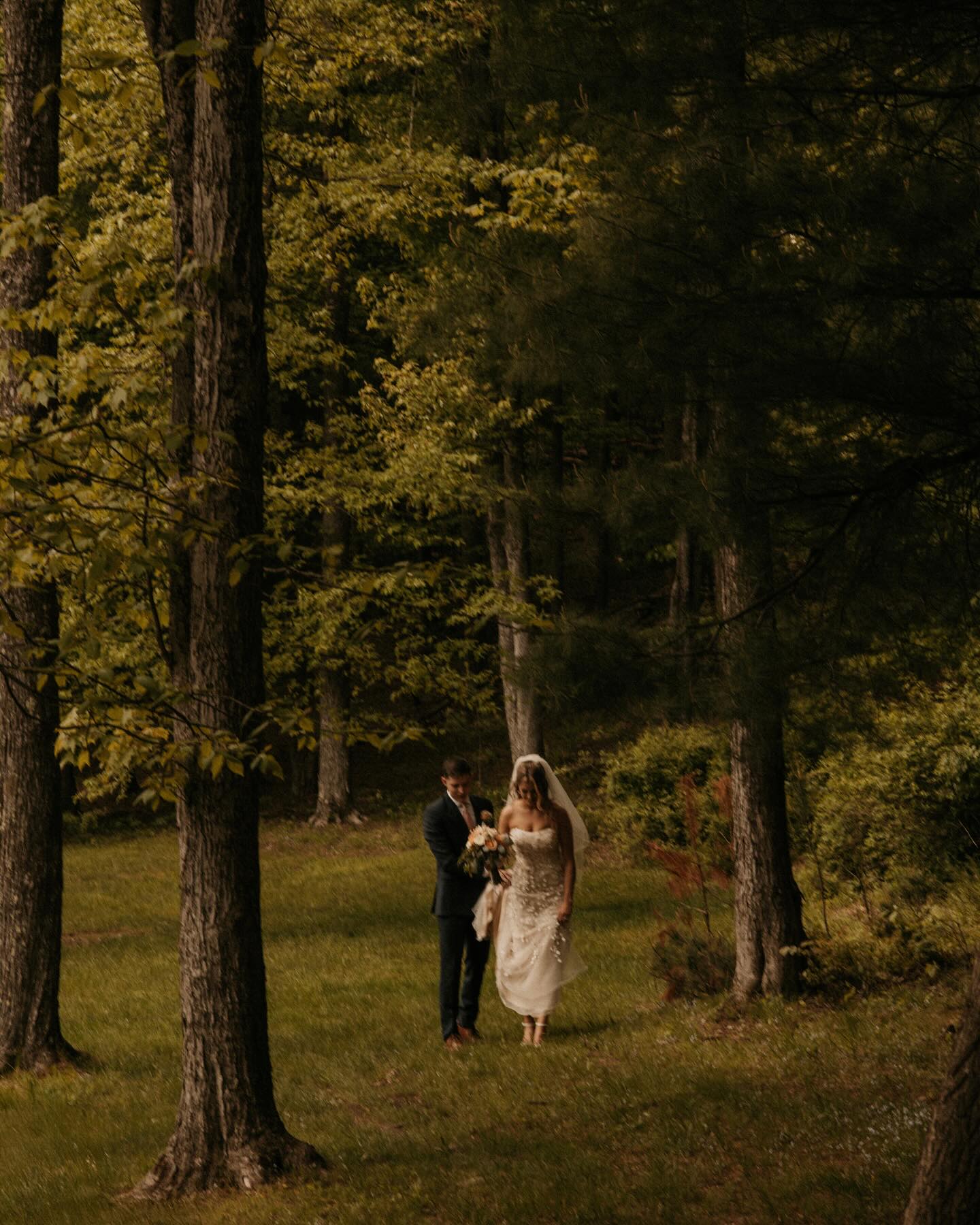 Less noise and more green 🌿