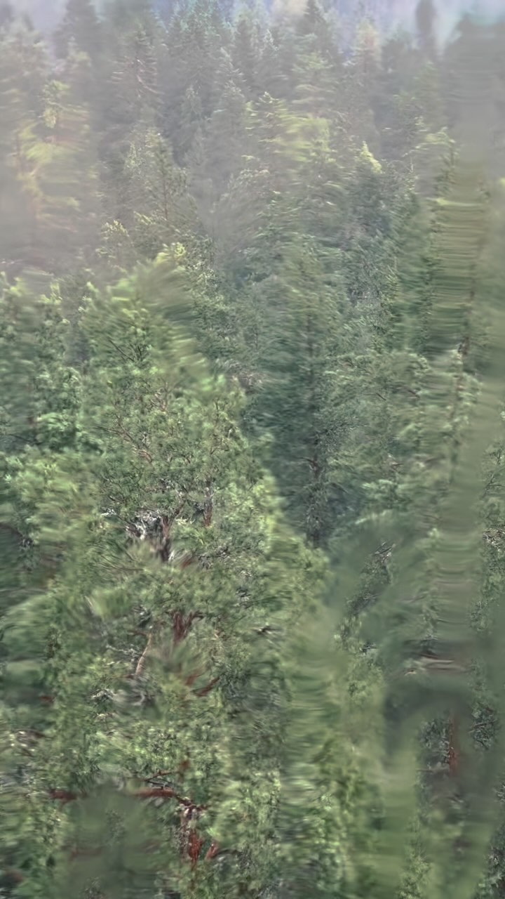 ©️ Galerie Fantôme
🦉